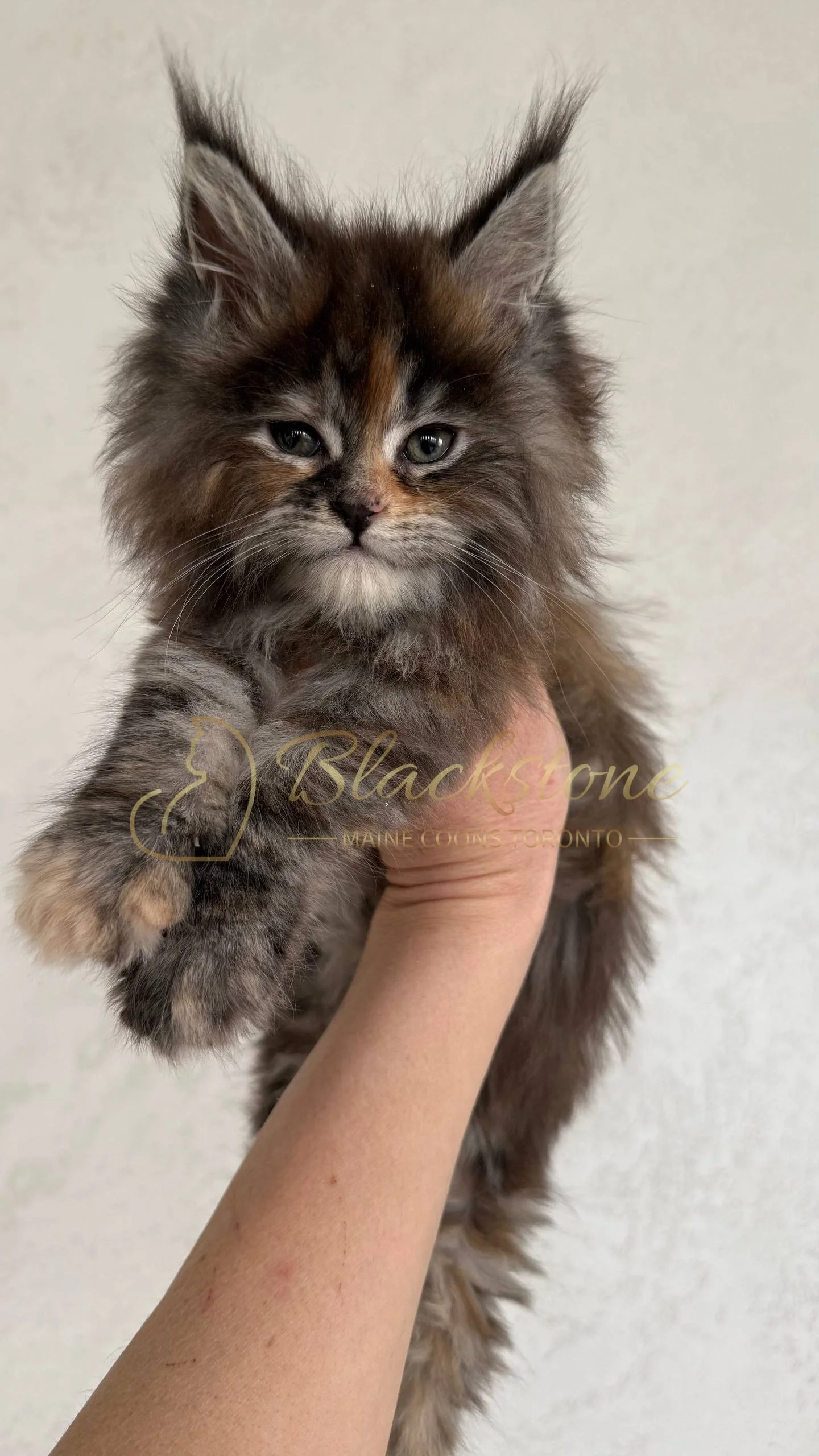 eZy Watermark_05-04-2026_03-45-13-2150PM.JPG