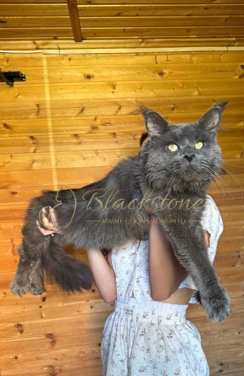 eZy Watermark_05-04-2026_03-56-04-4090PM.JPG