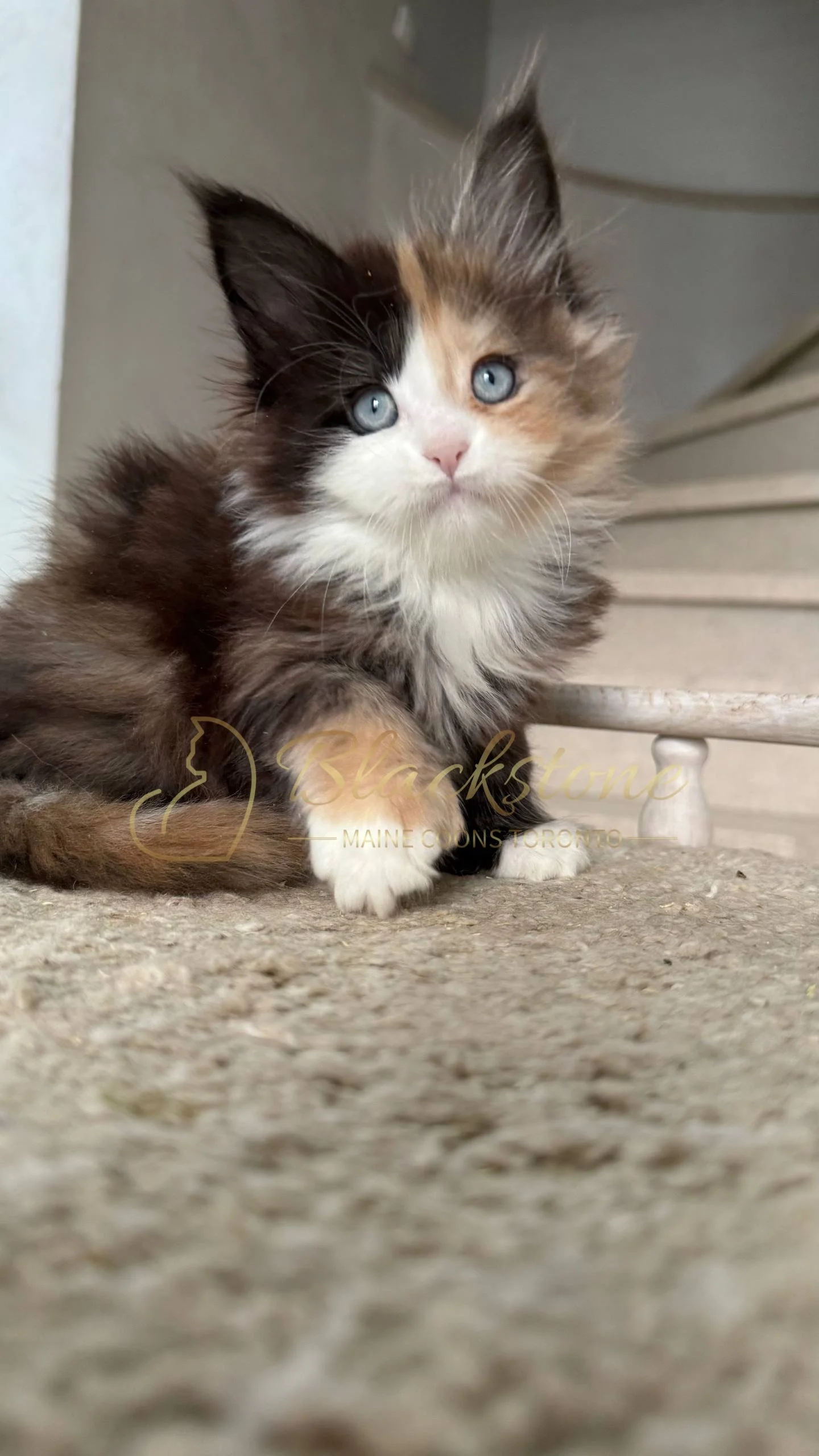 eZy Watermark_05-04-2026_03-56-05-3120PM.JPG