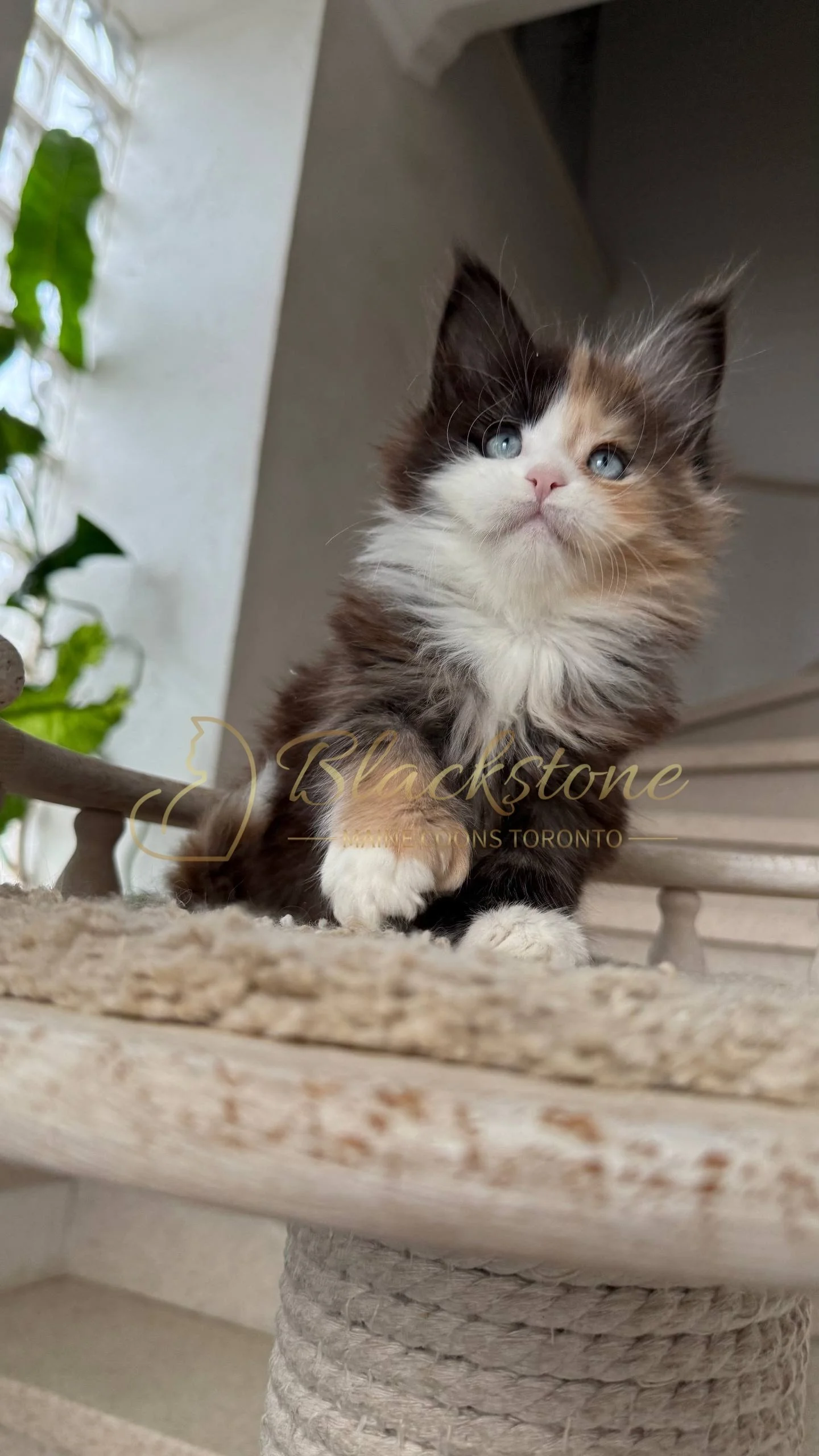 eZy Watermark_05-04-2026_03-56-05-4050PM.JPG