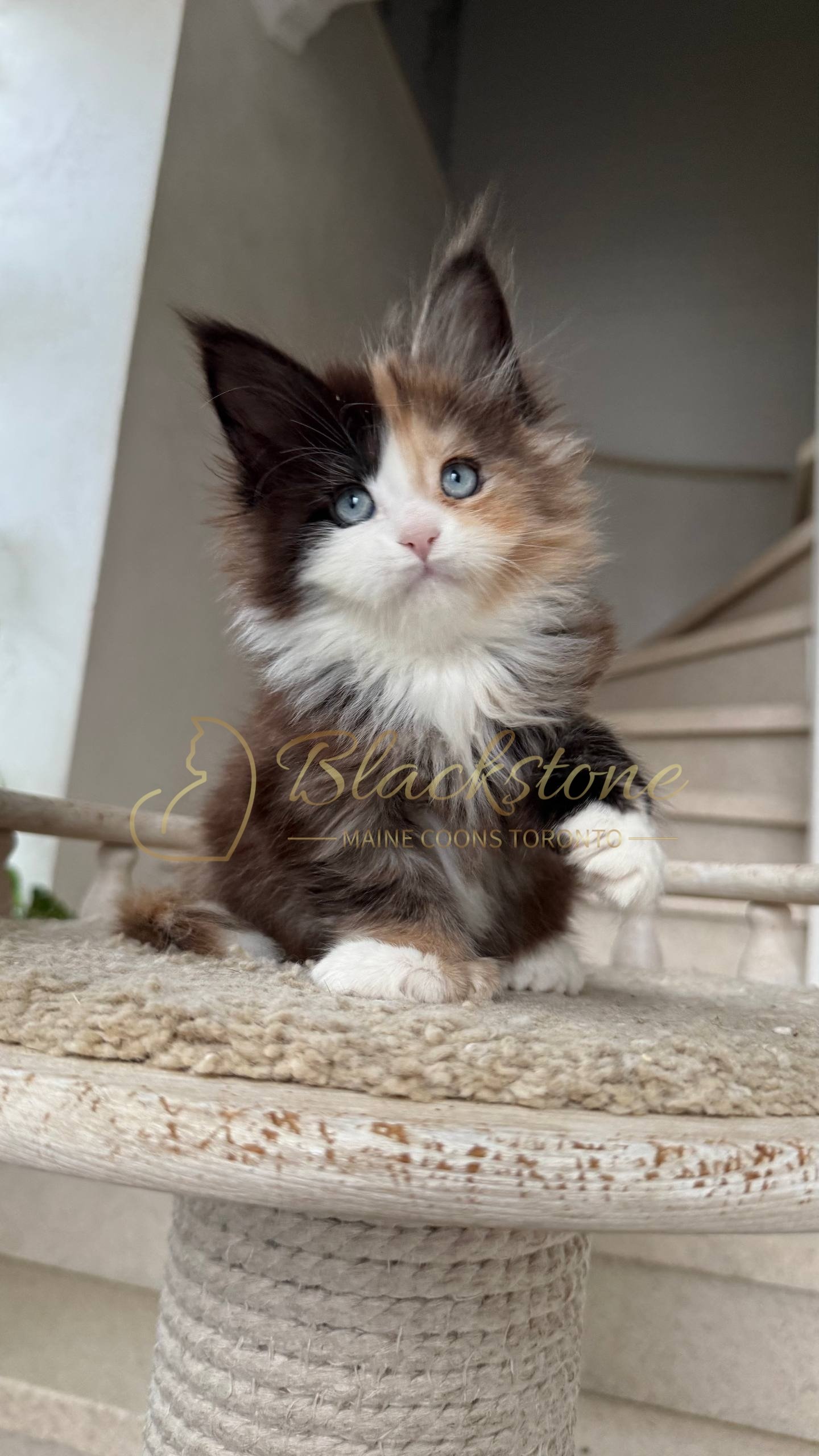 eZy Watermark_05-04-2026_03-56-05-5940PM.JPG