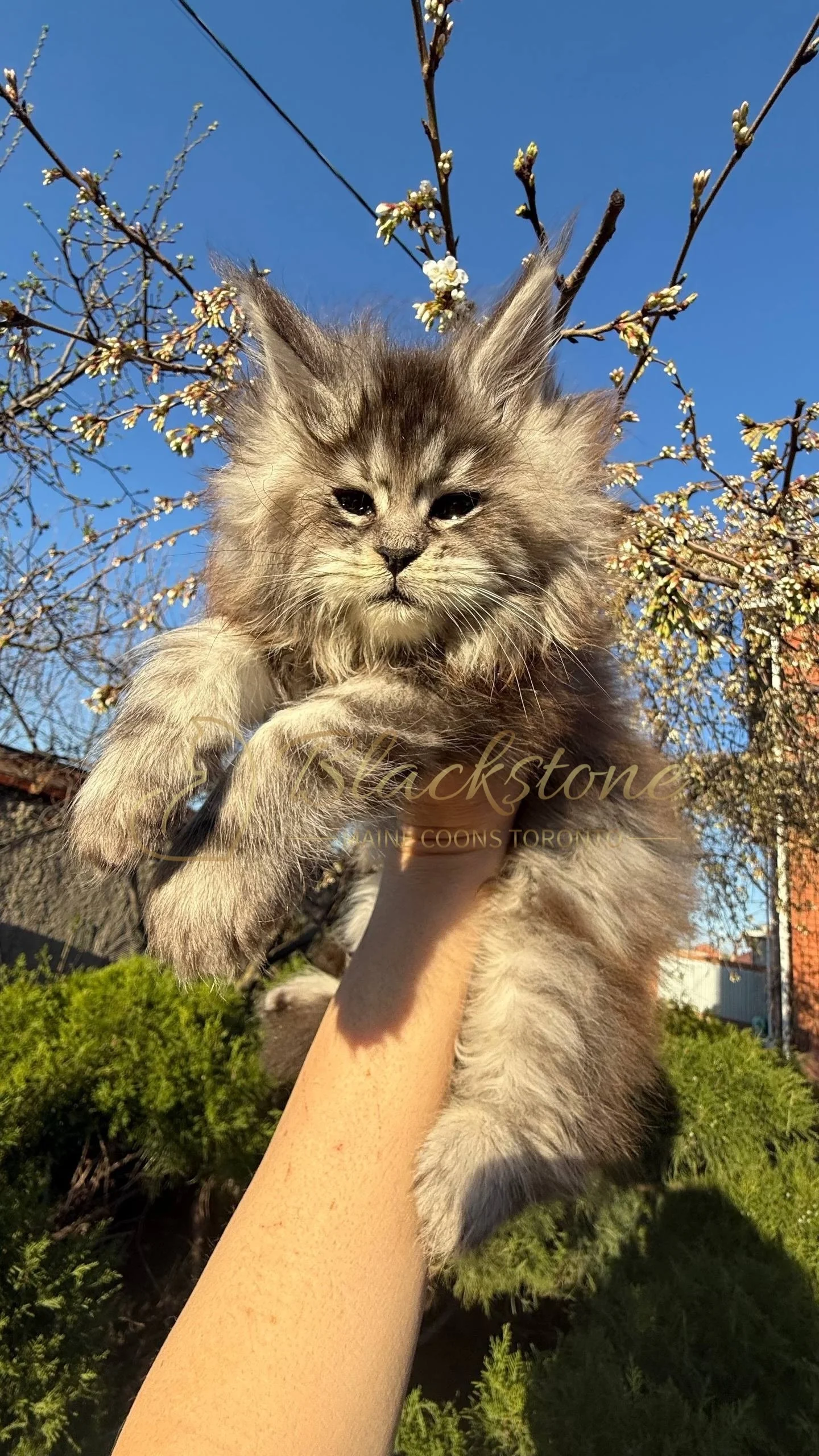 eZy Watermark_25-04-2026_10-10-10-3640PM.JPG