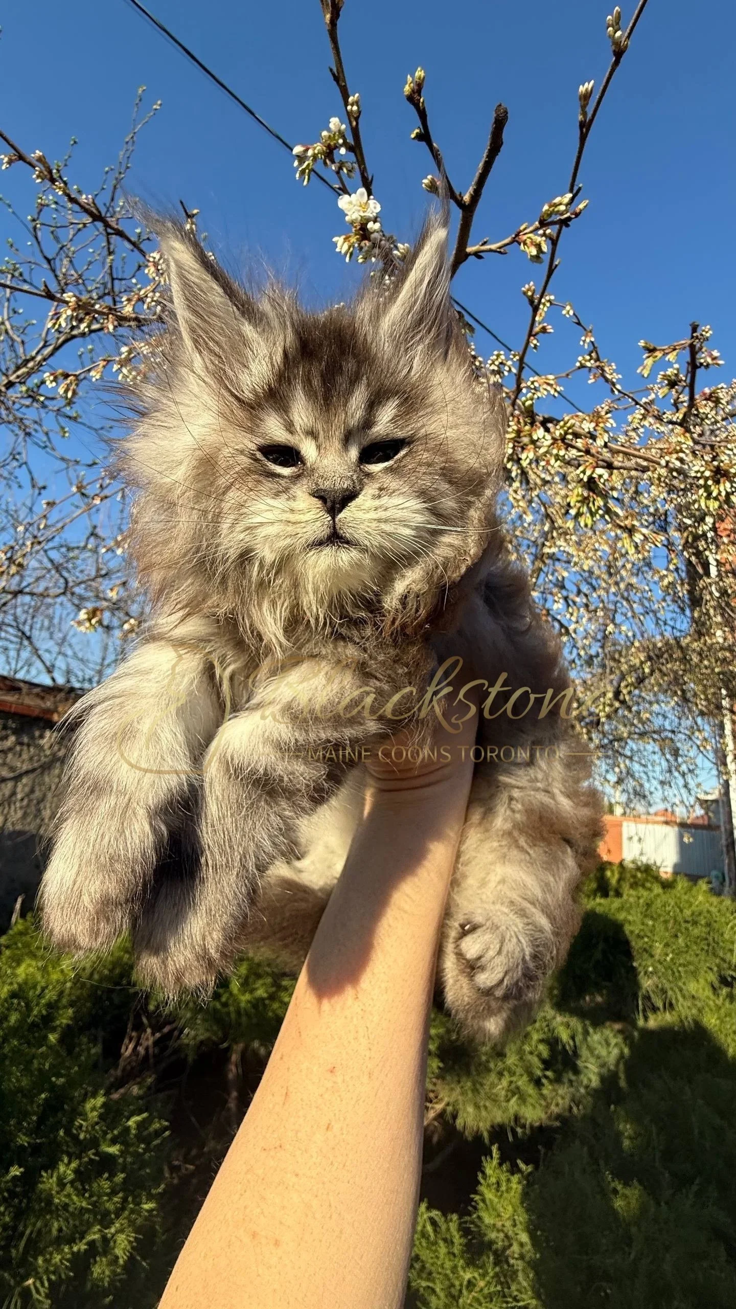 eZy Watermark_25-04-2026_10-10-10-5010PM.JPG