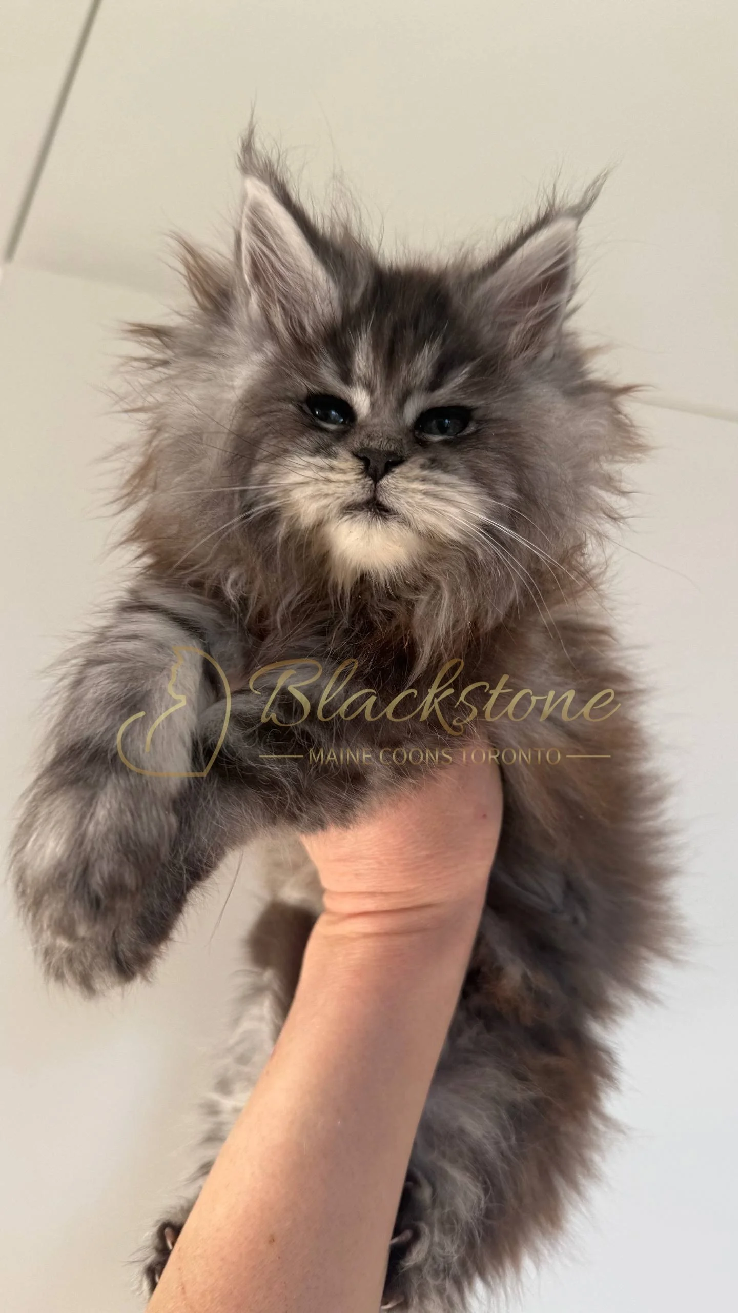 eZy Watermark_25-04-2026_10-10-10-5980PM.JPG