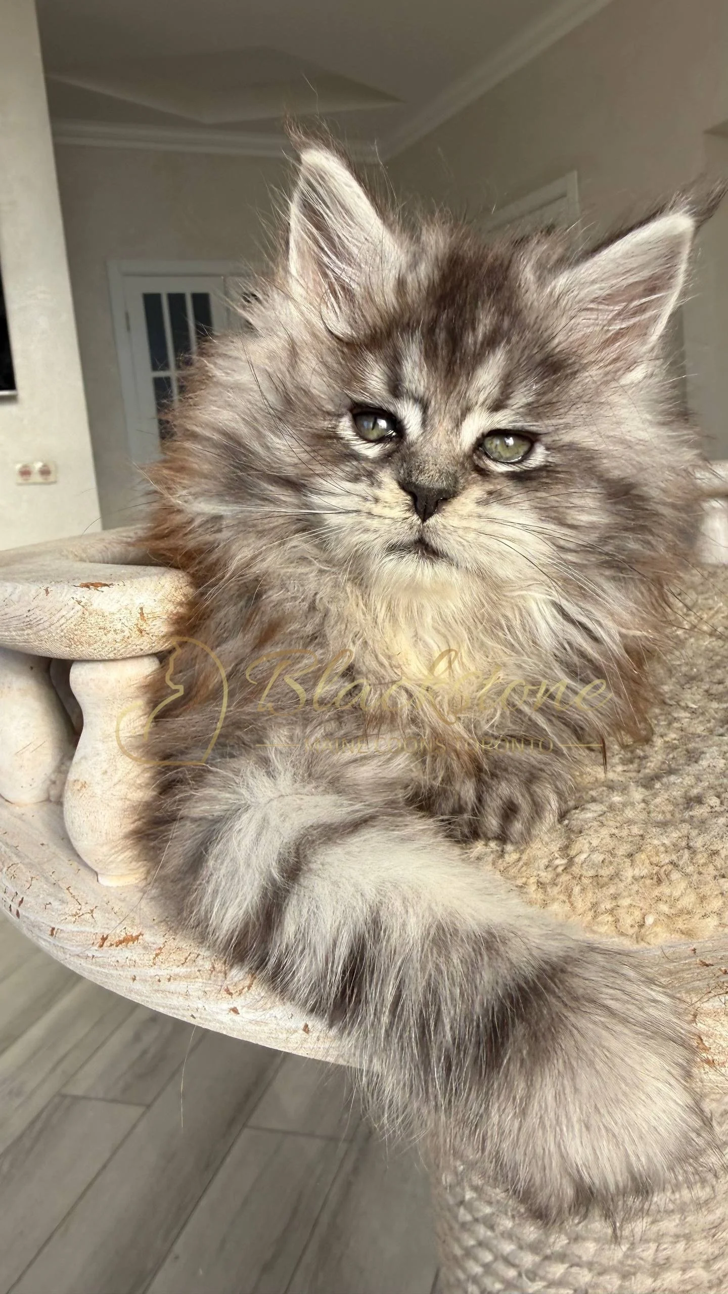 eZy Watermark_25-04-2026_10-10-10-6880PM.JPG