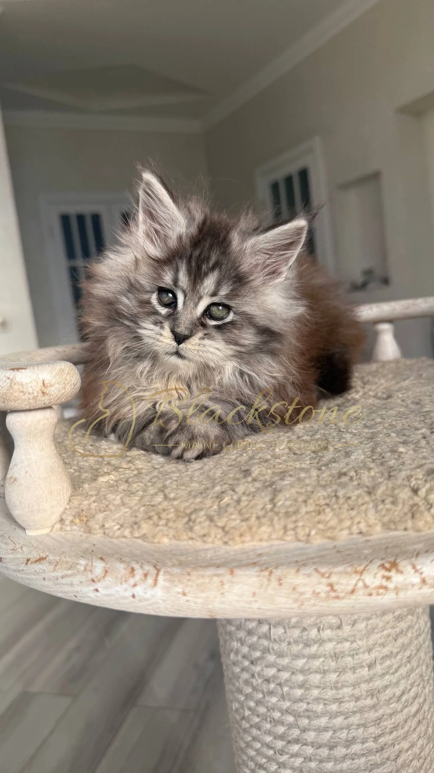 eZy Watermark_25-04-2026_10-10-10-7740PM.JPG