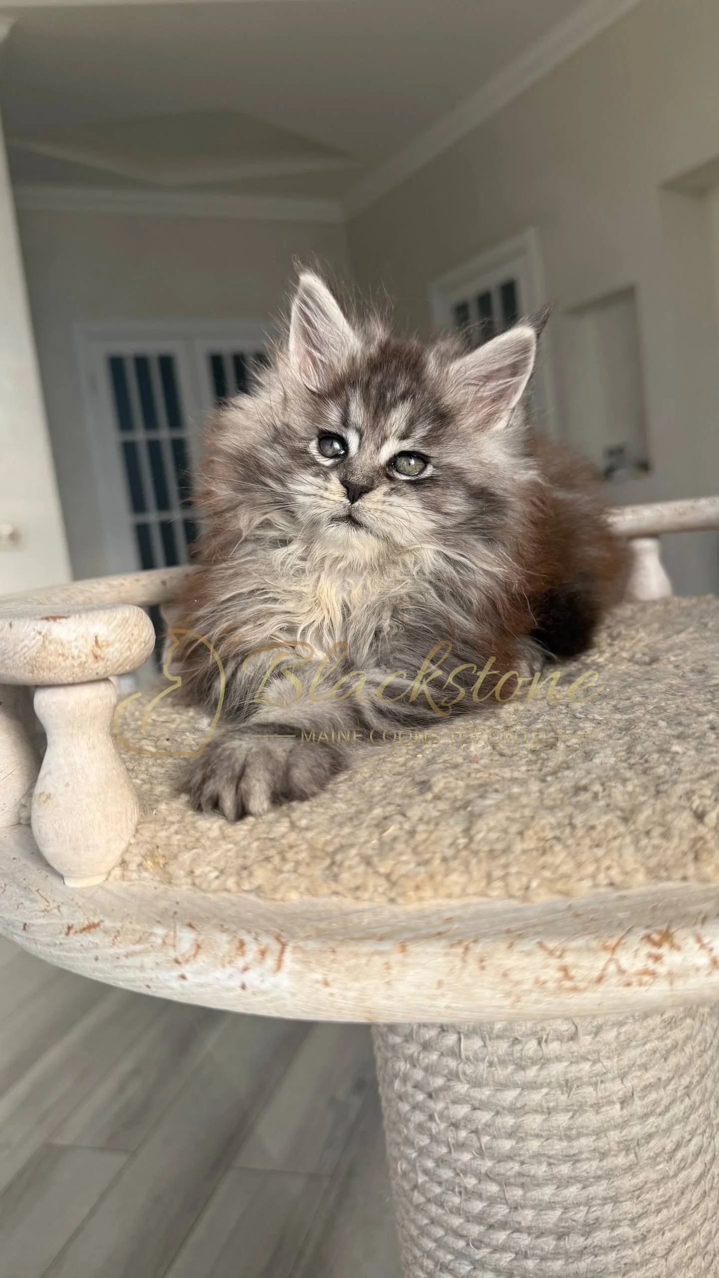 eZy Watermark_25-04-2026_10-10-10-8670PM.JPG