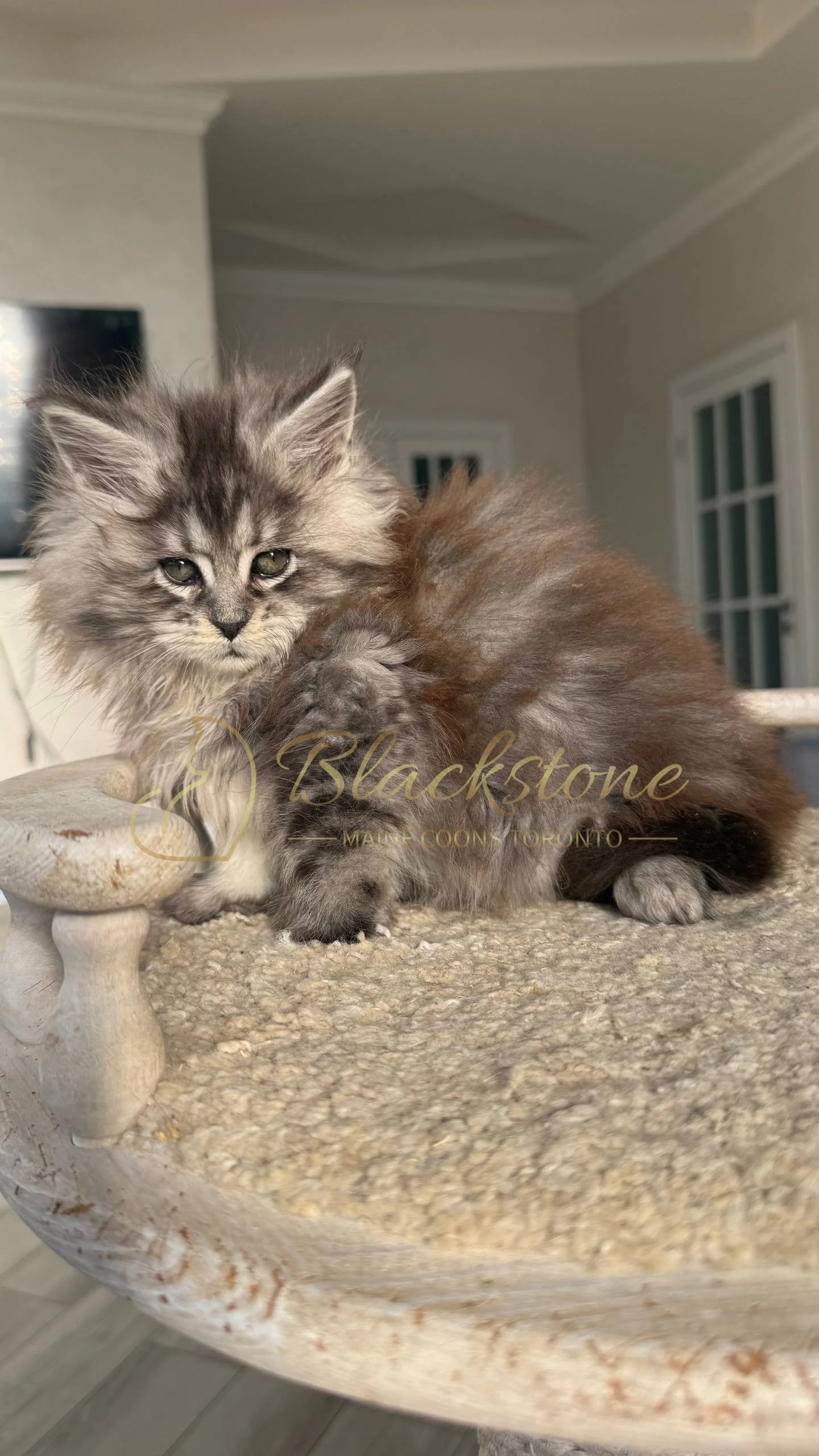 eZy Watermark_25-04-2026_10-10-10-9640PM.JPG