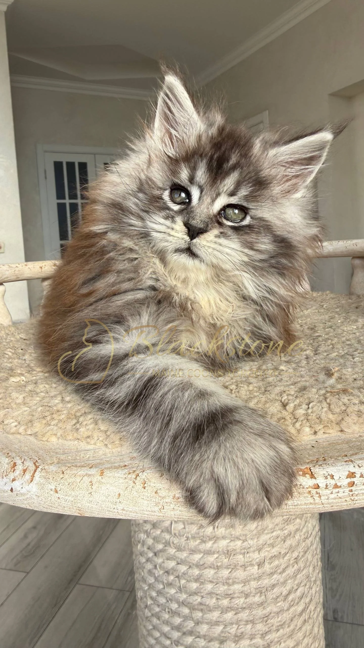 eZy Watermark_25-04-2026_10-10-11-0560PM.JPG