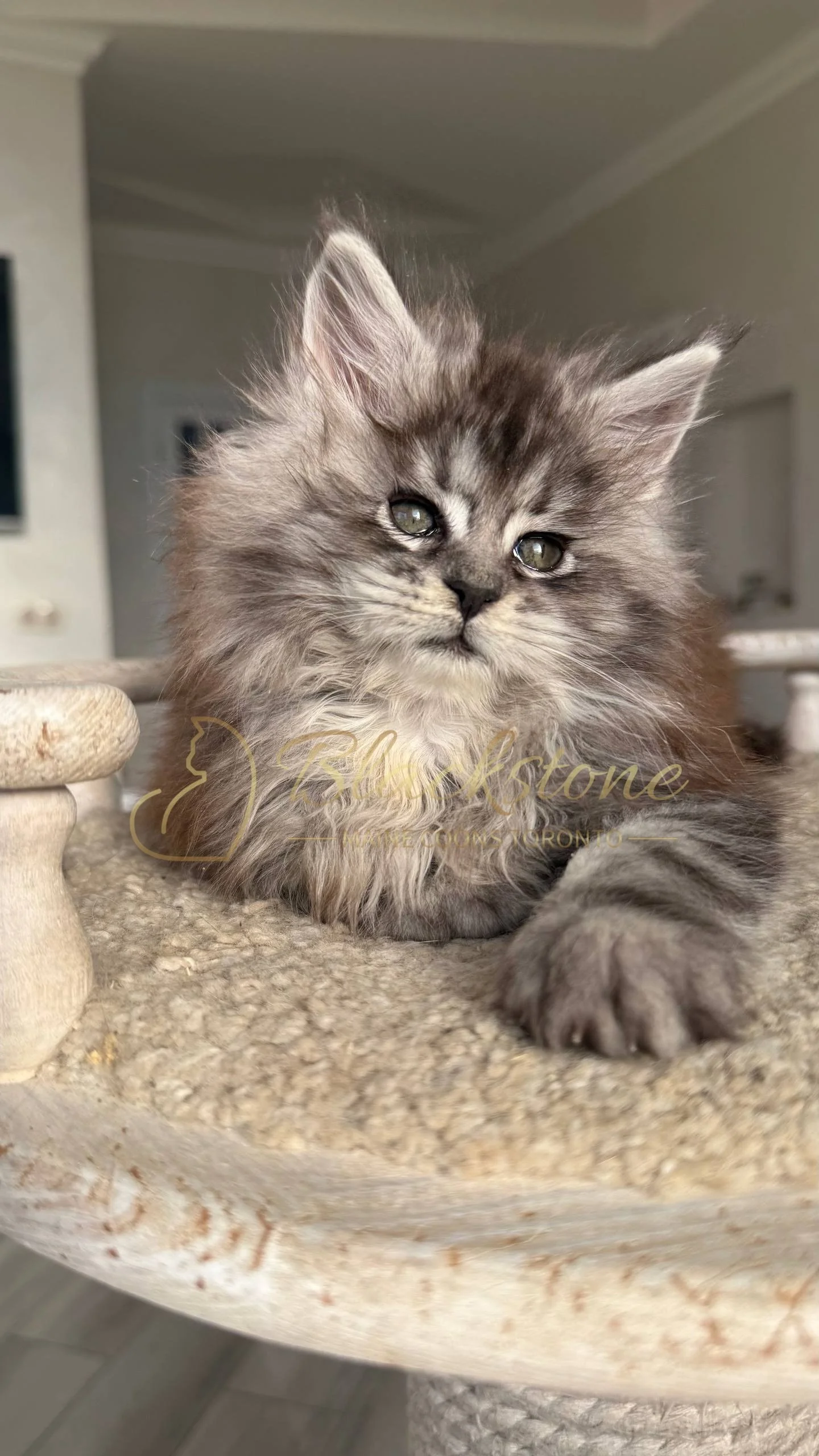 eZy Watermark_25-04-2026_10-10-11-1500PM.JPG