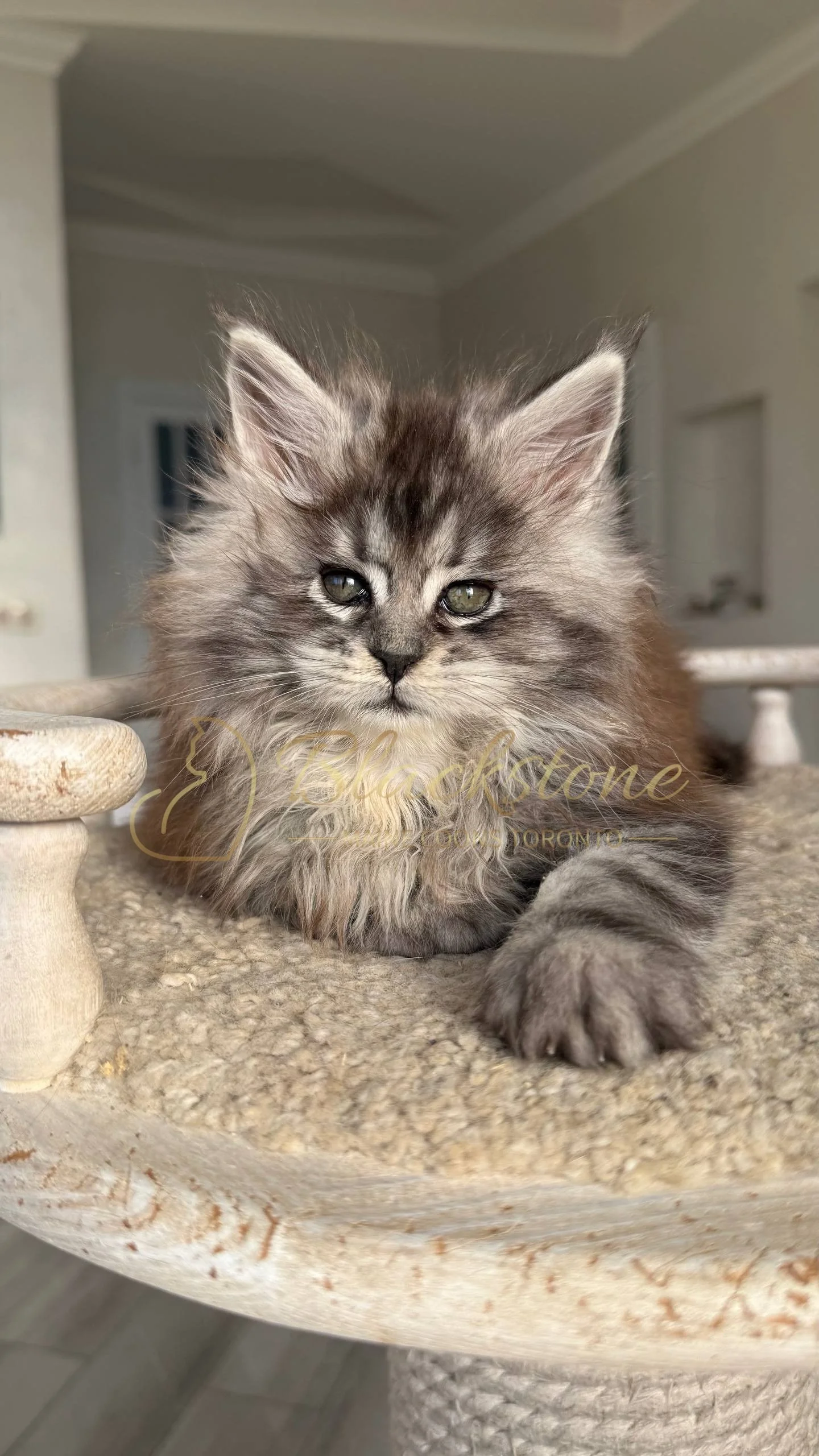 eZy Watermark_25-04-2026_10-10-11-5000PM.JPG