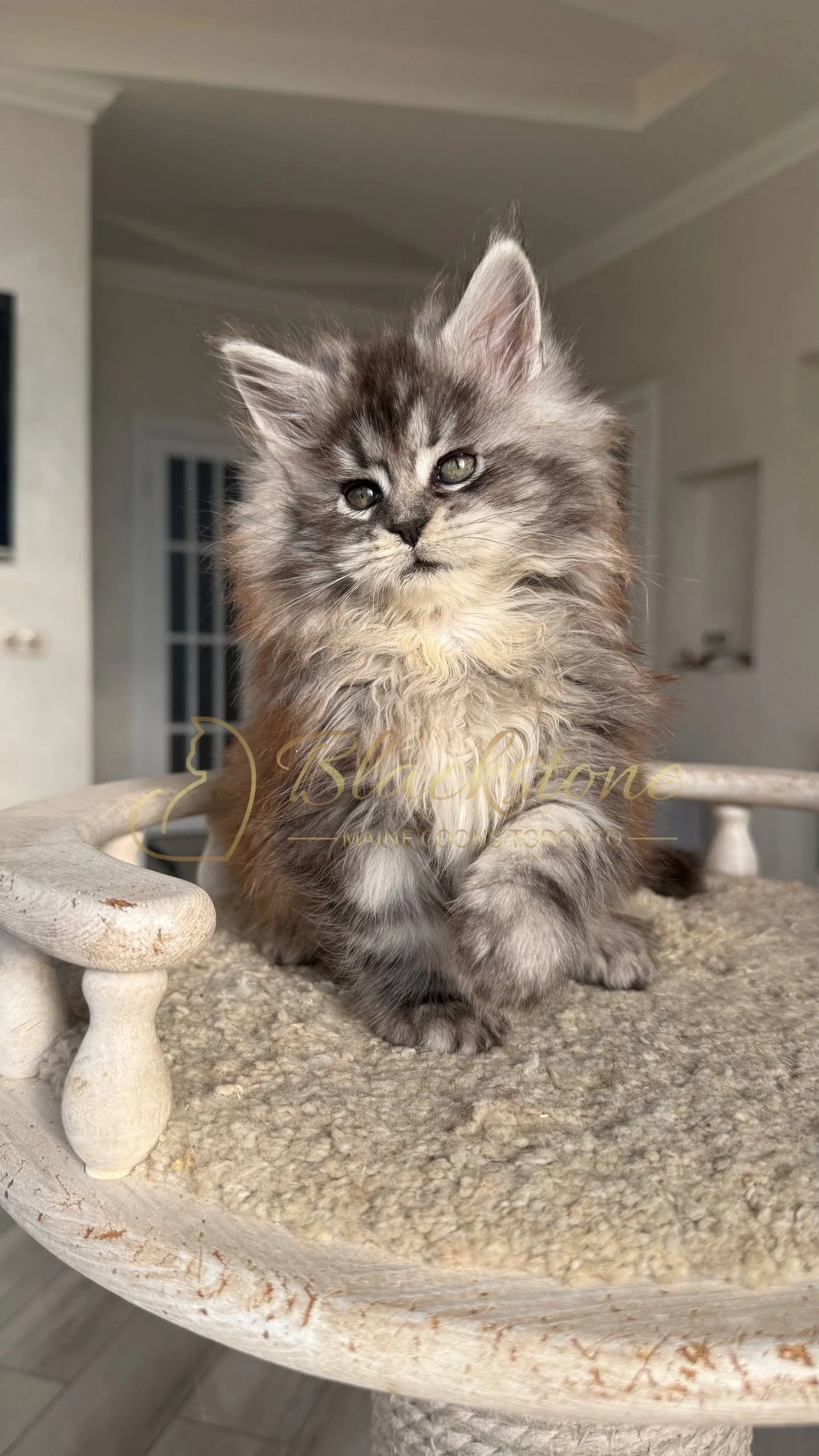 eZy Watermark_25-04-2026_10-10-11-5900PM.JPG