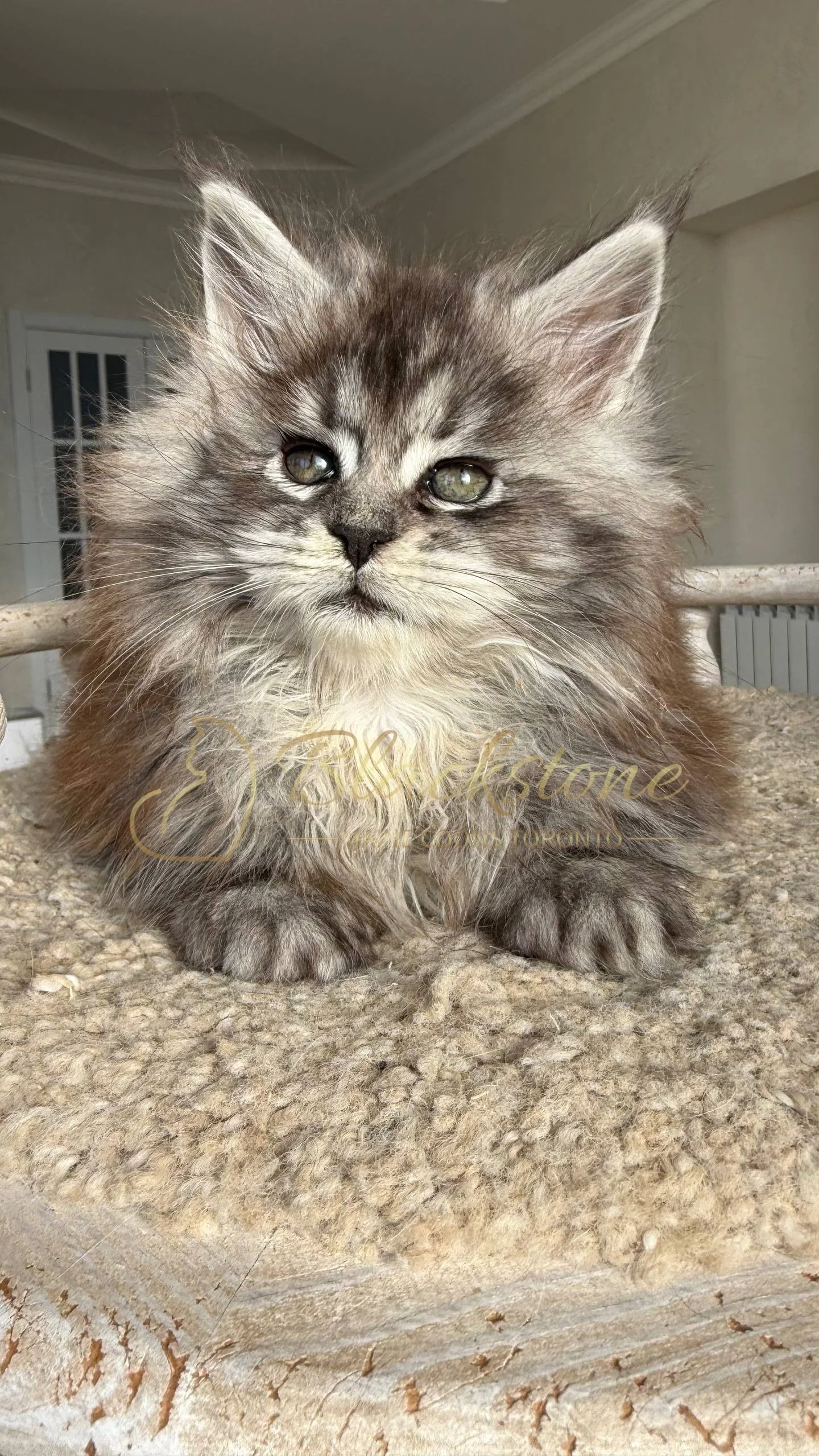 eZy Watermark_25-04-2026_10-10-11-6830PM.JPG