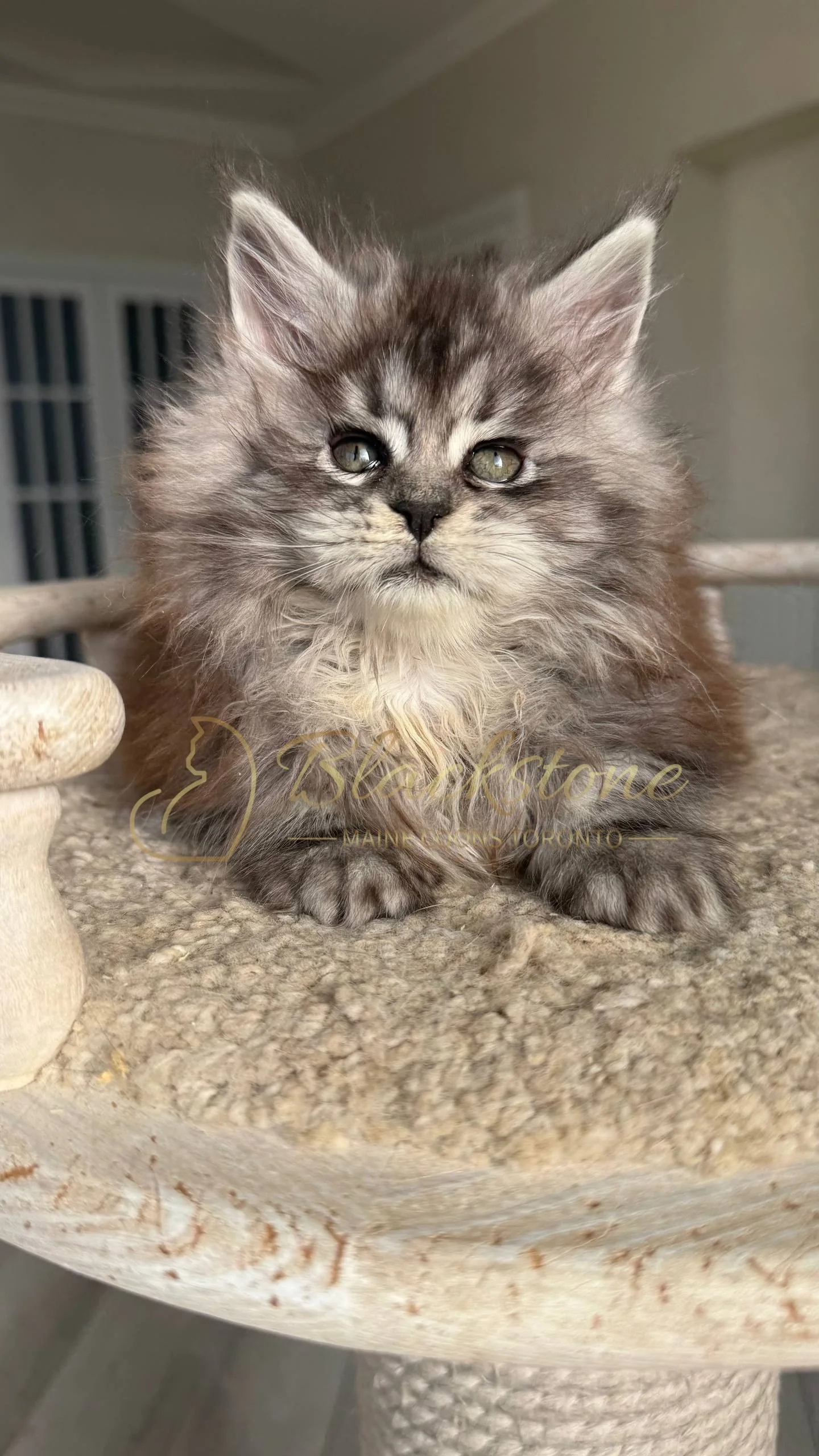 eZy Watermark_25-04-2026_10-10-11-7740PM.JPG