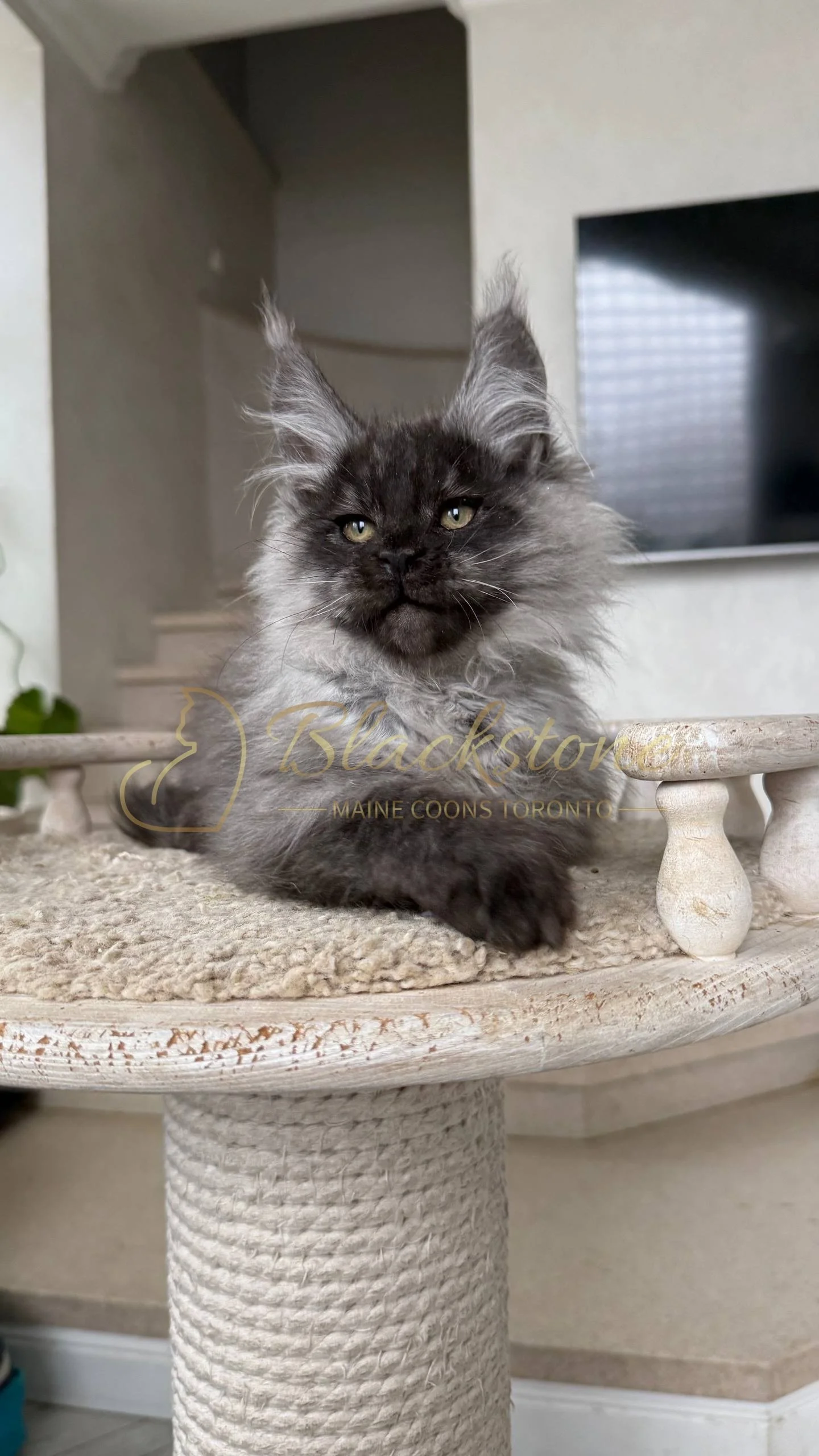 eZy Watermark_25-04-2026_10-34-45-5730PM.JPG