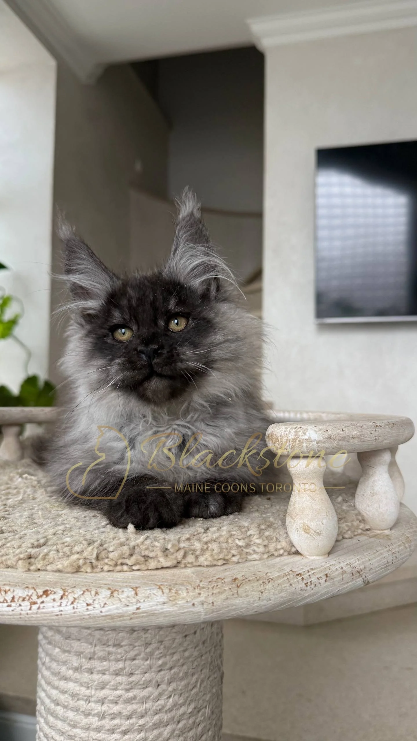 eZy Watermark_25-04-2026_10-34-45-6650PM.JPG