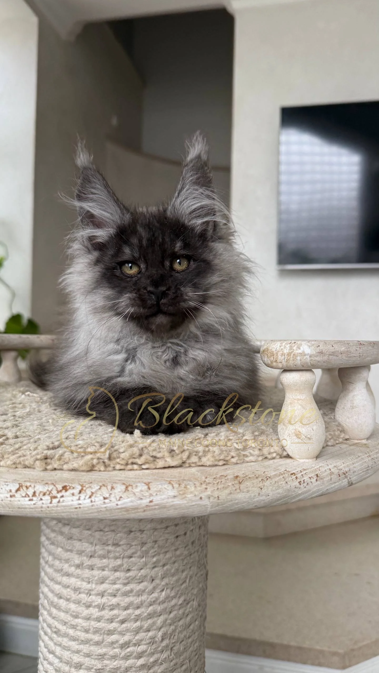 eZy Watermark_25-04-2026_10-34-45-7550PM.JPG