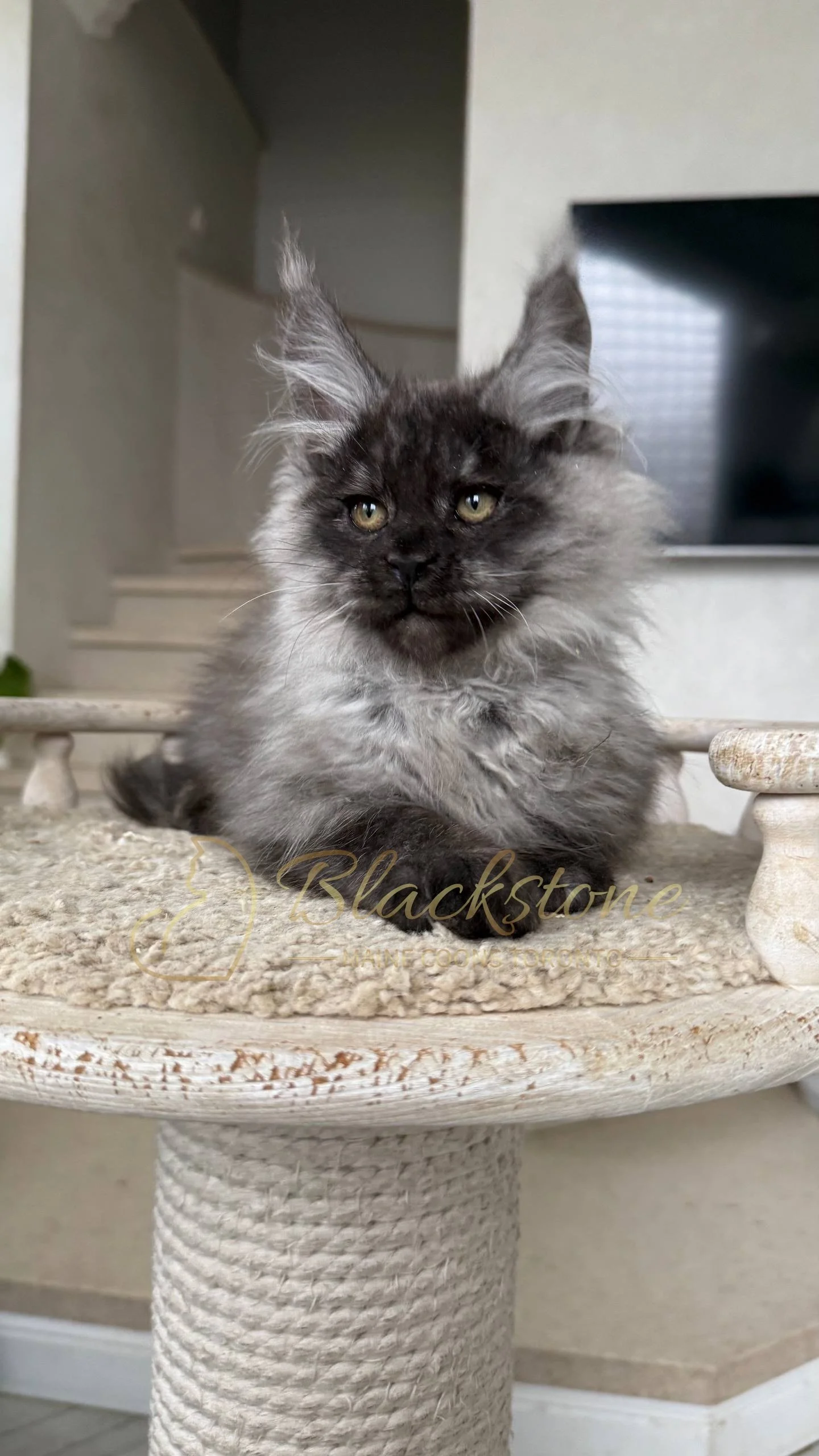 eZy Watermark_25-04-2026_10-34-45-9320PM.JPG