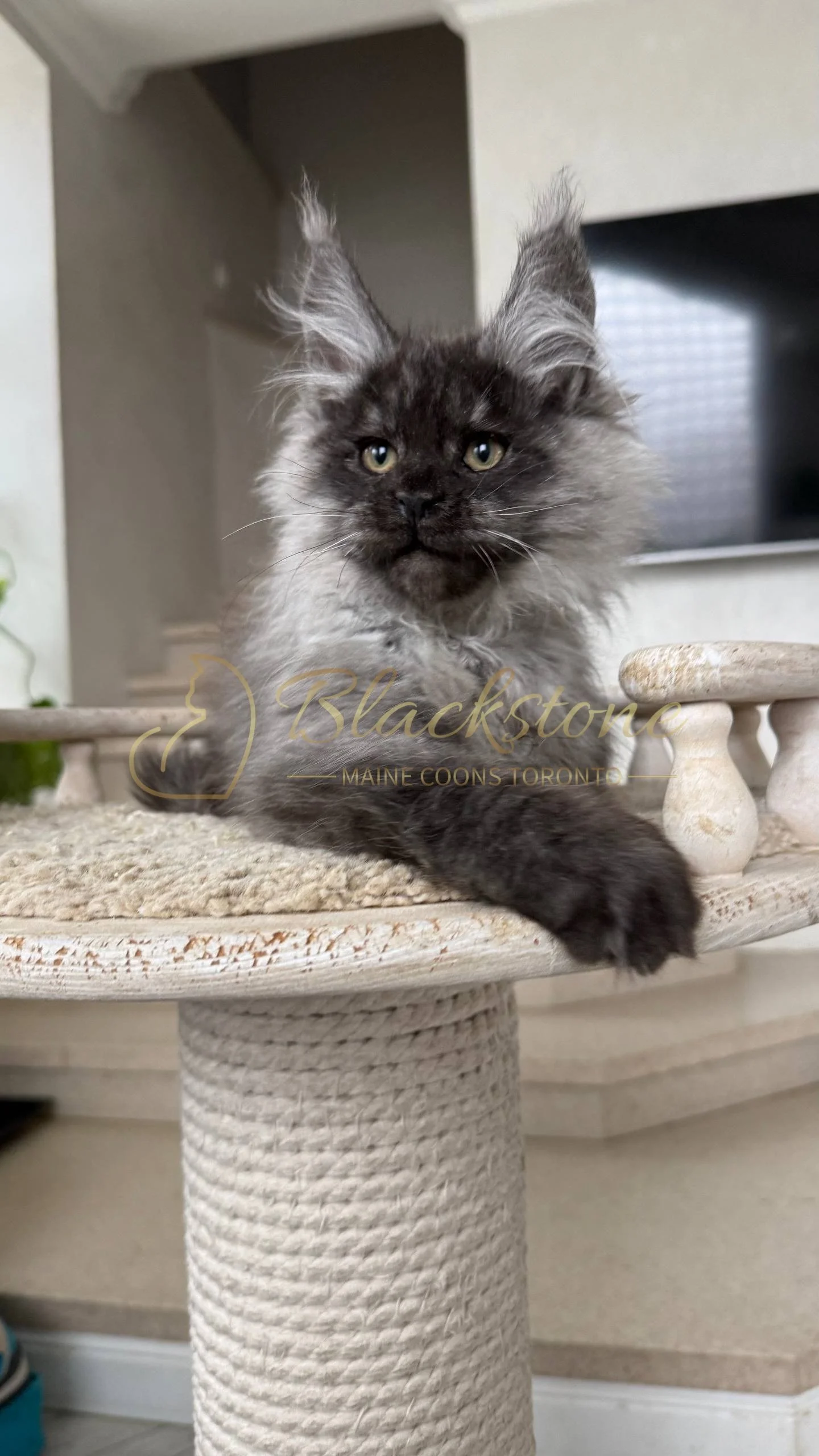 eZy Watermark_25-04-2026_10-34-46-1930PM.JPG