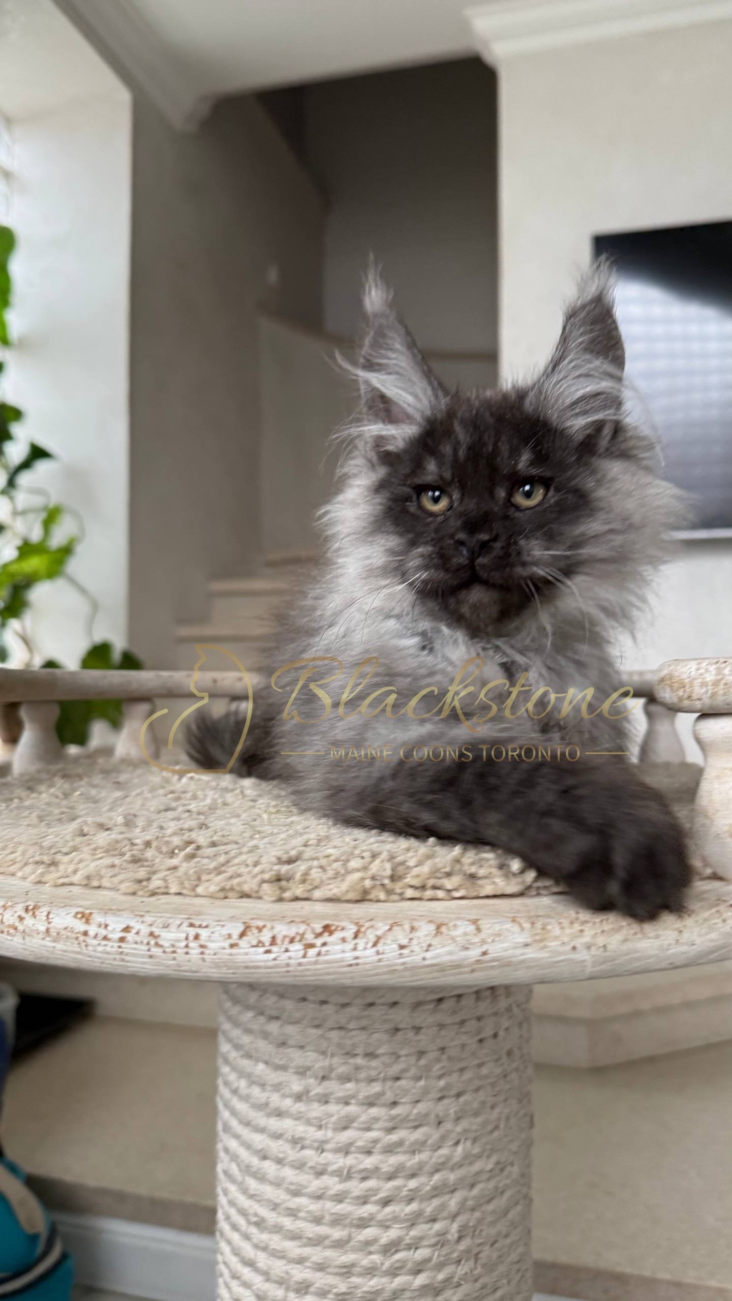 eZy Watermark_25-04-2026_10-34-46-2800PM.JPG