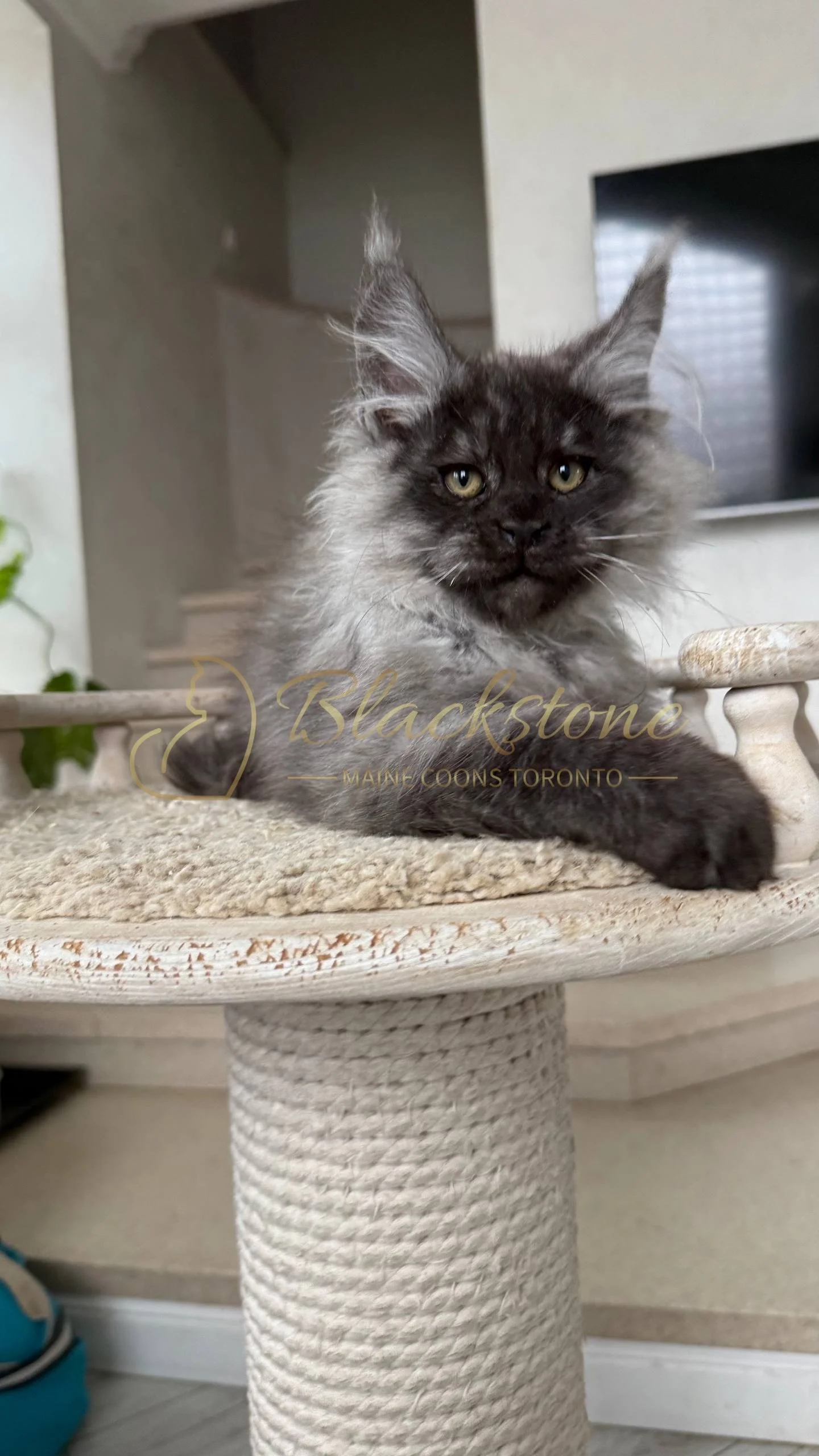 eZy Watermark_25-04-2026_10-34-46-3650PM.JPG