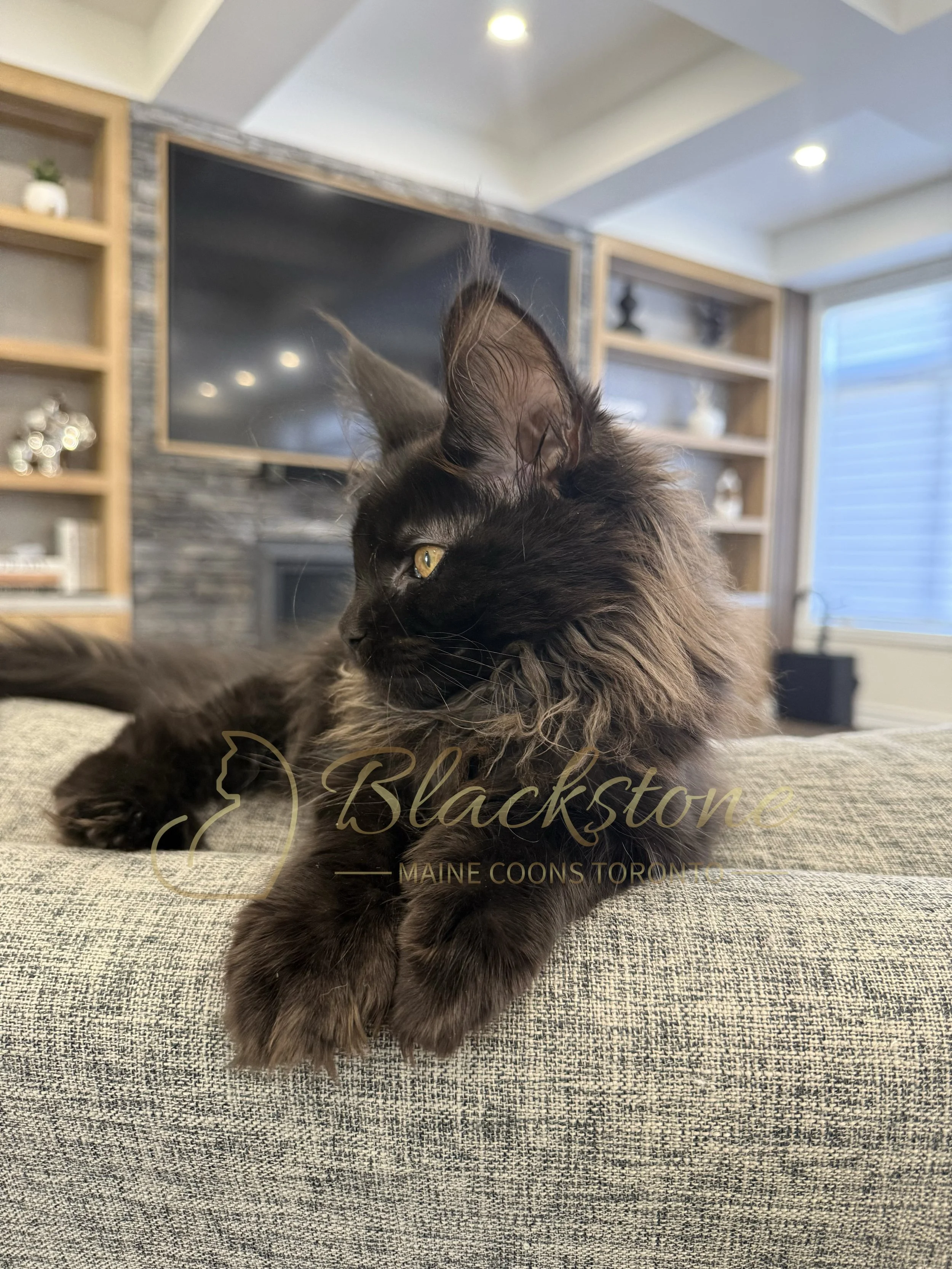 eZy Watermark_12-06-2026_07-17-25-1610PM.JPG