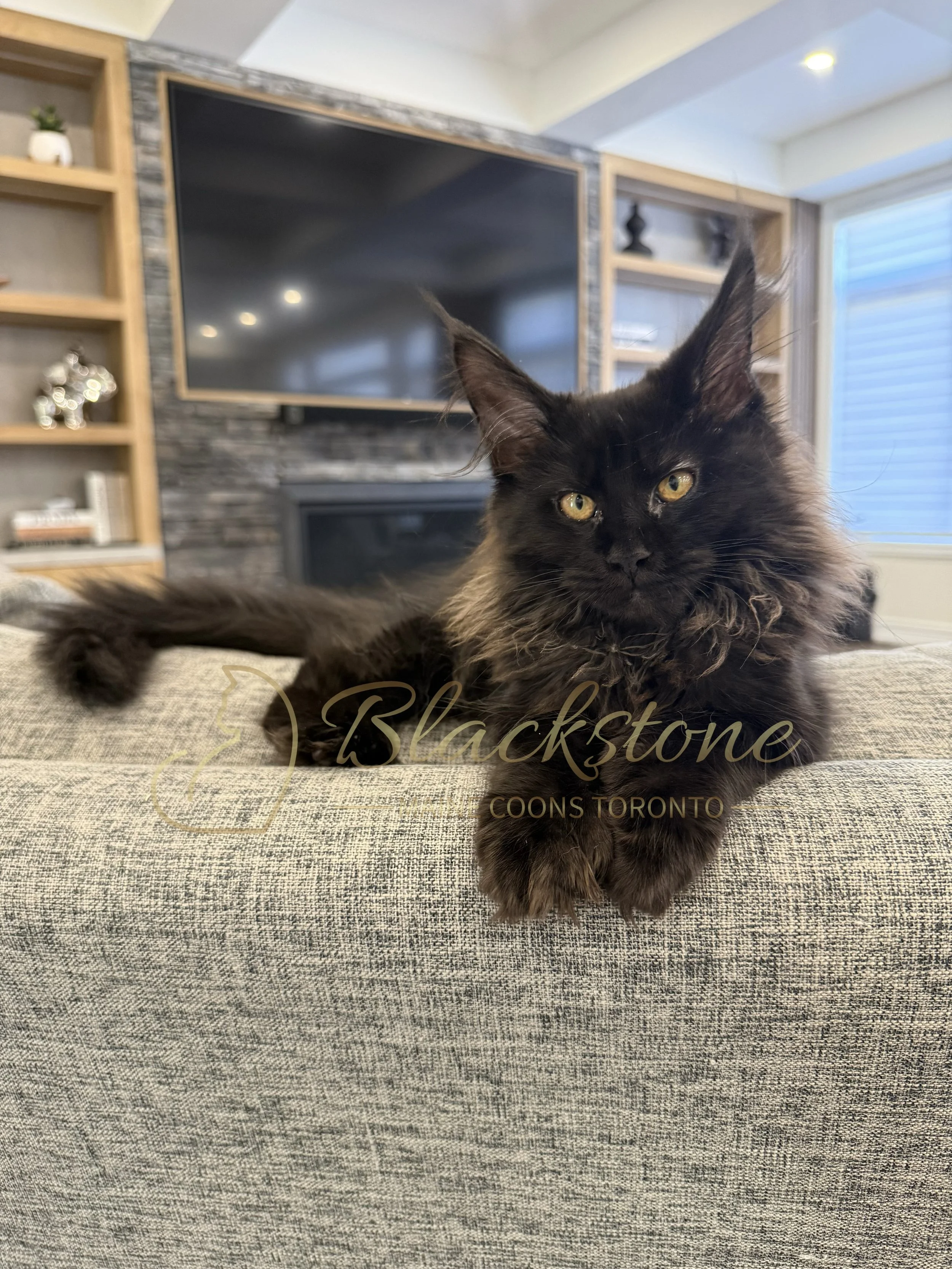 eZy Watermark_12-06-2026_07-17-27-3950PM.JPG