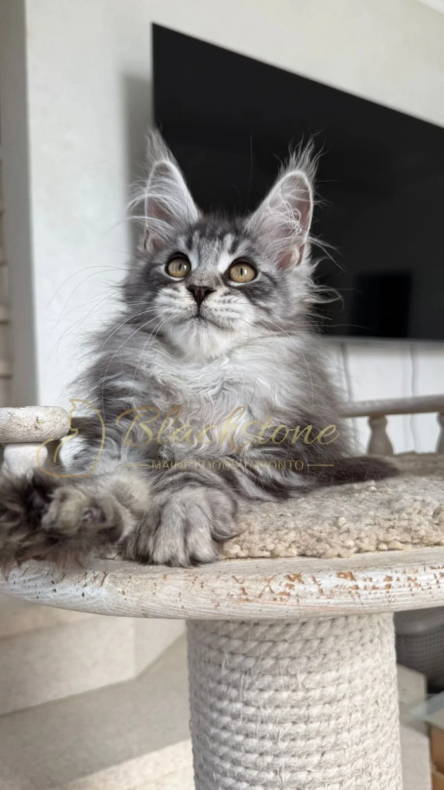 eZy Watermark_16-06-2026_10-08-55-1540AM.JPG