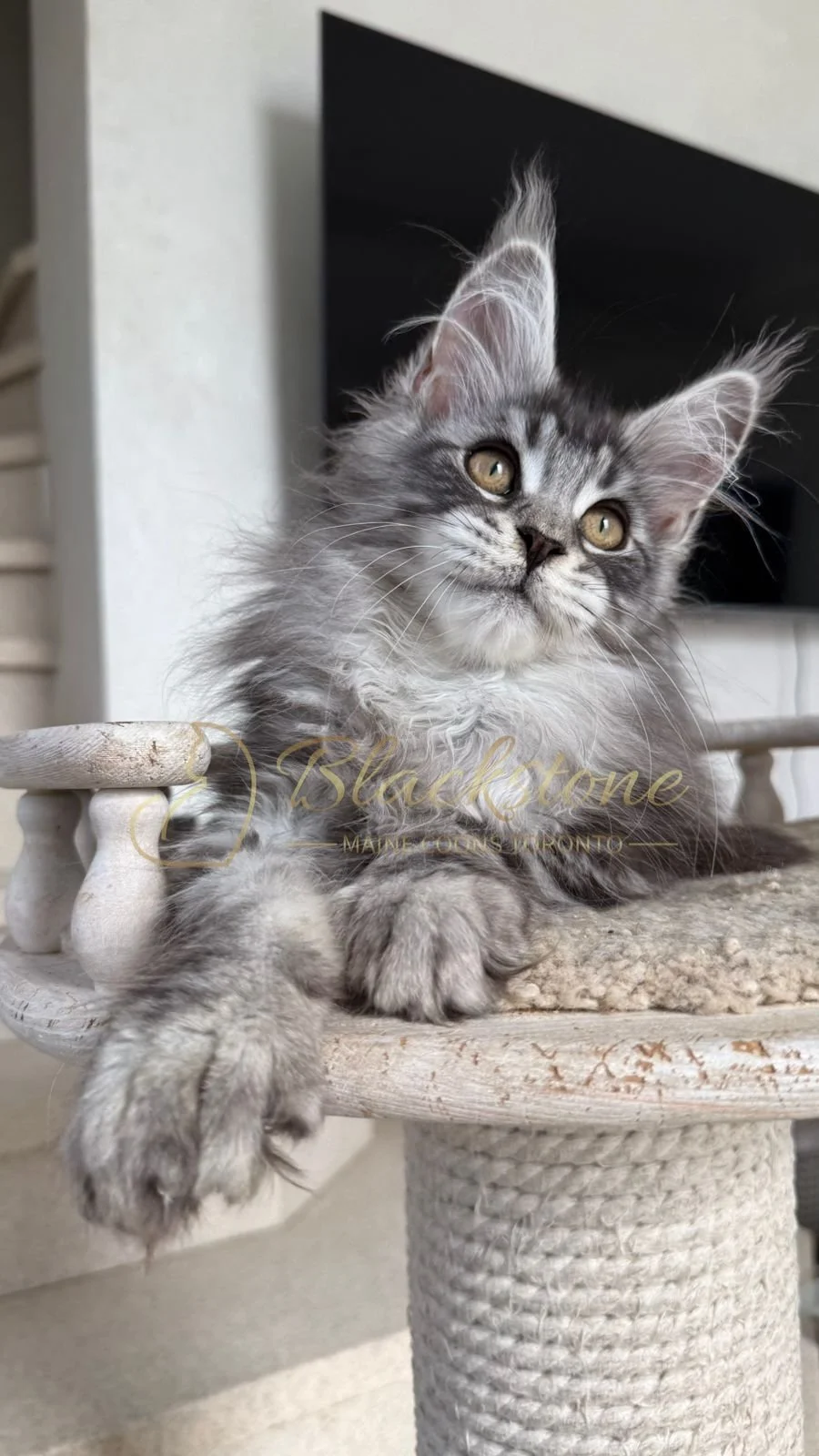 eZy Watermark_16-06-2026_10-08-55-2420AM.JPG