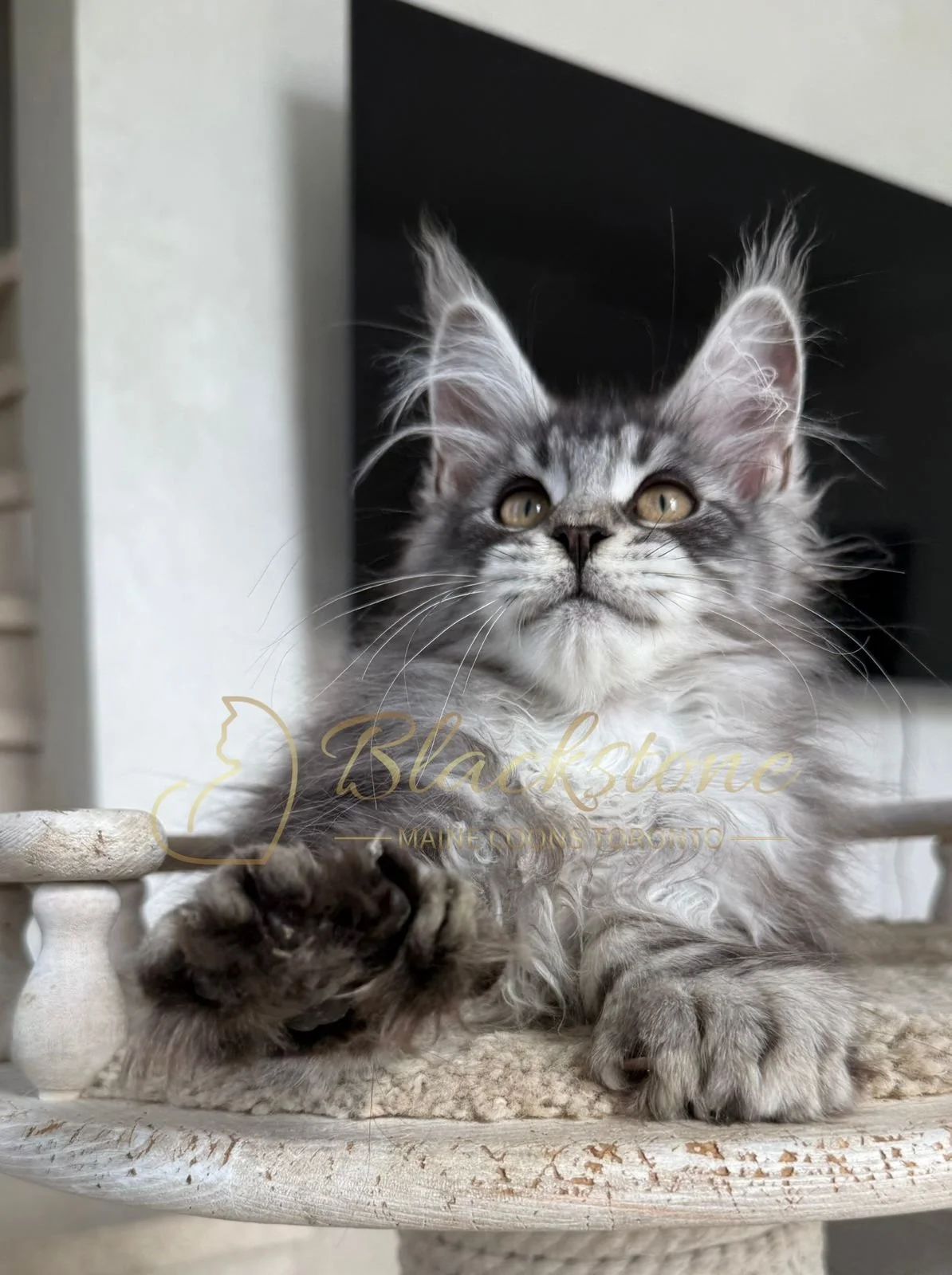 eZy Watermark_16-06-2026_10-08-55-3340AM.JPG