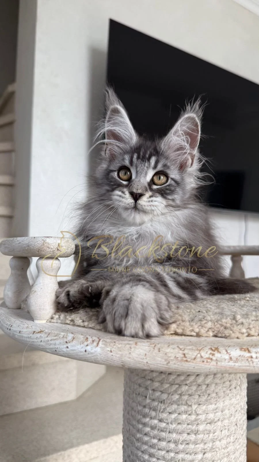 eZy Watermark_16-06-2026_10-08-55-5850AM.JPG