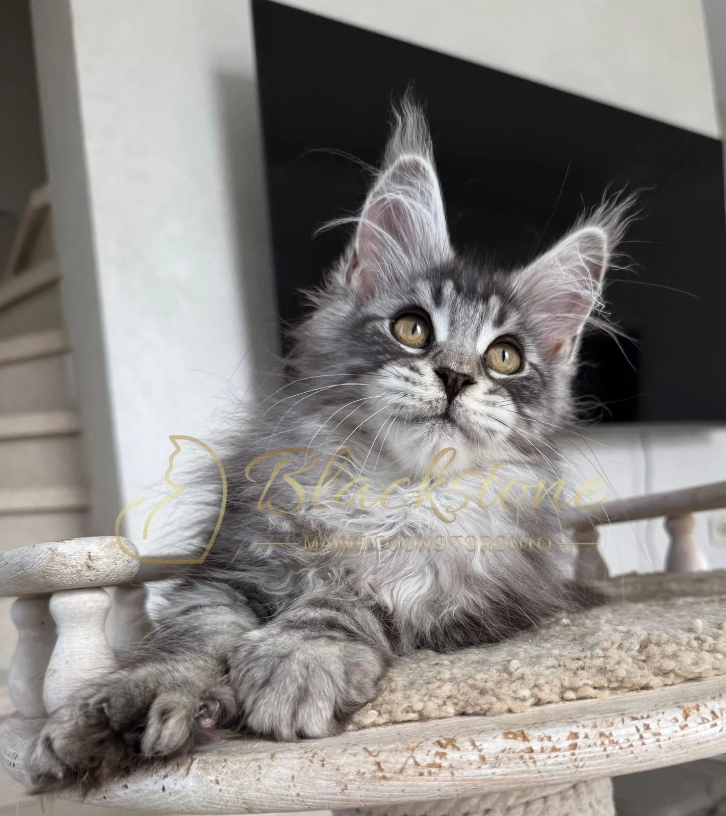 eZy Watermark_16-06-2026_10-08-55-7120AM.JPG