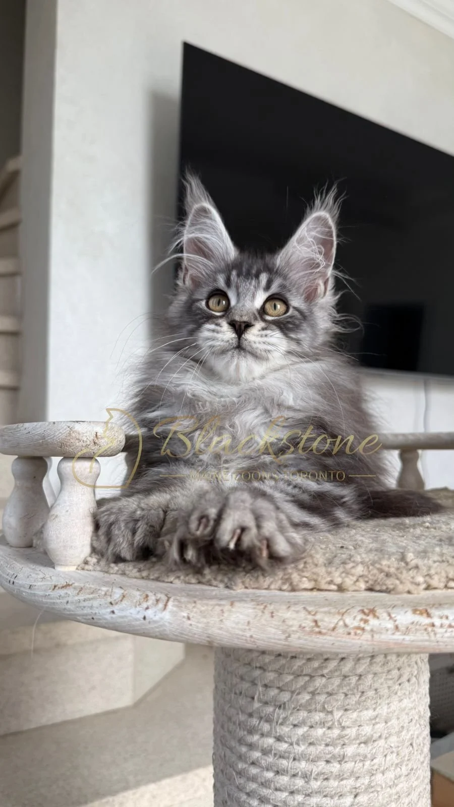 eZy Watermark_16-06-2026_10-08-55-8030AM.JPG