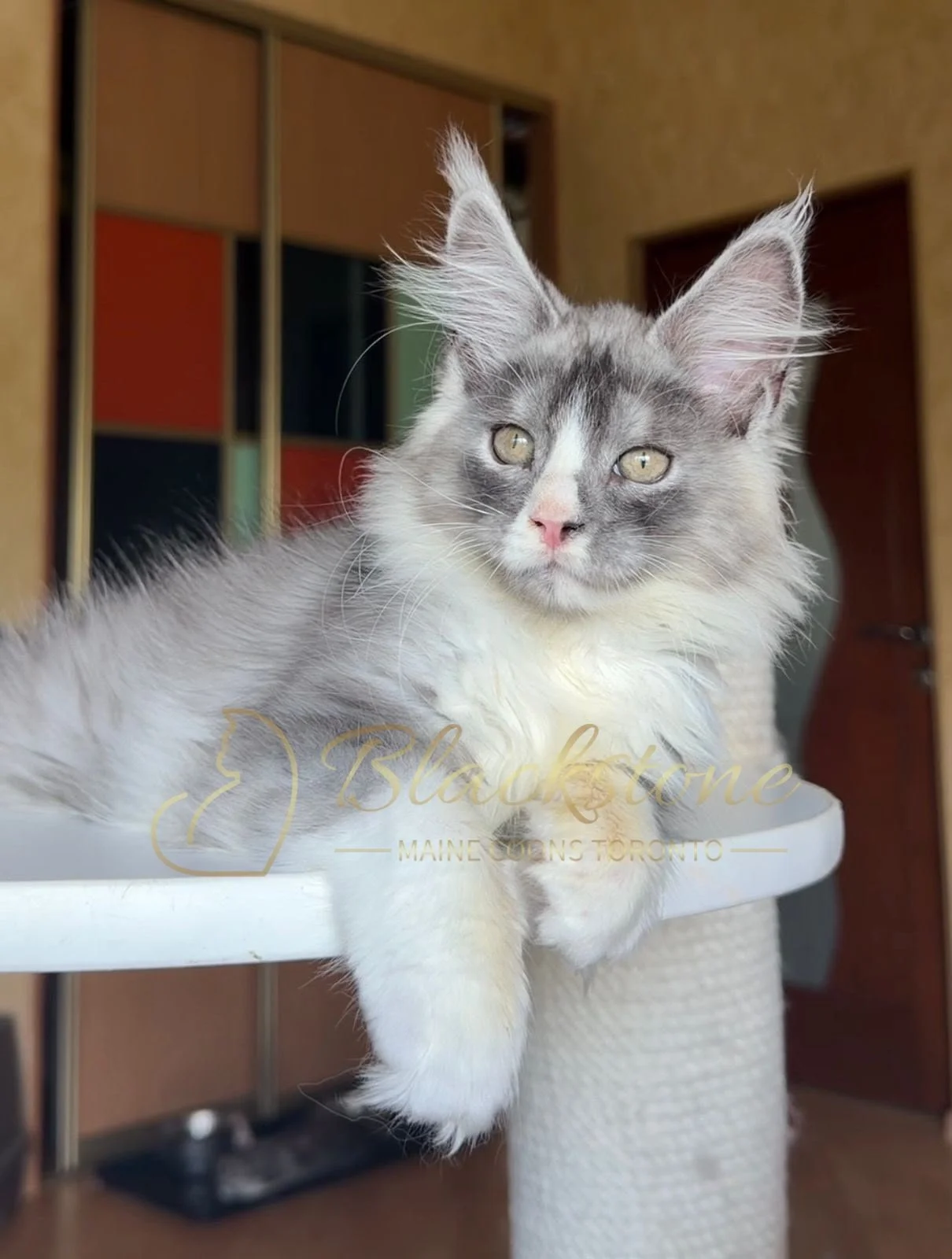 eZy Watermark_28-06-2026_12-14-14-7630PM.JPG