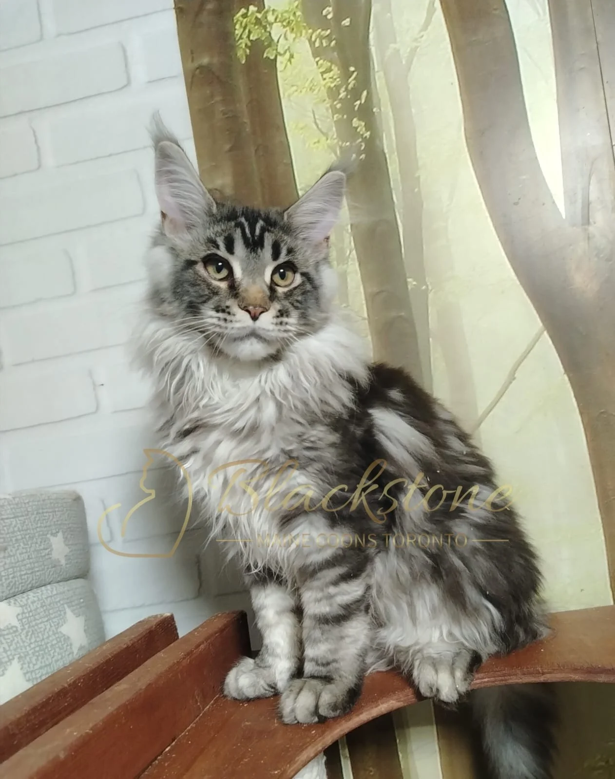 eZy Watermark_30-06-2026_01-46-23-8530PM.JPG