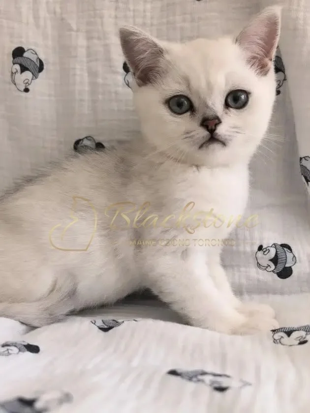 eZy Watermark_01-07-2026_01-18-33-6910PM.JPG