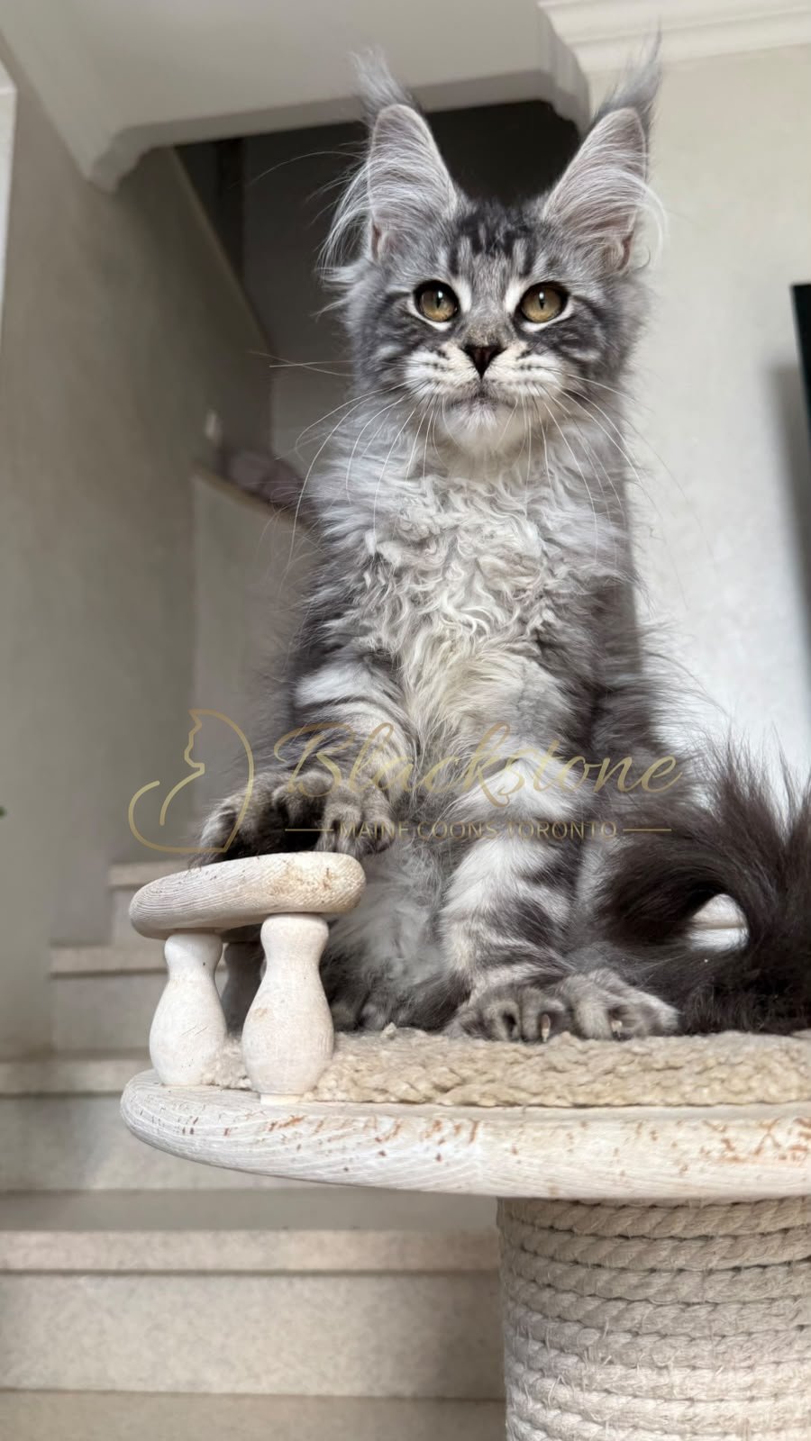 eZy Watermark_05-07-2026_05-25-13-5040PM.JPG