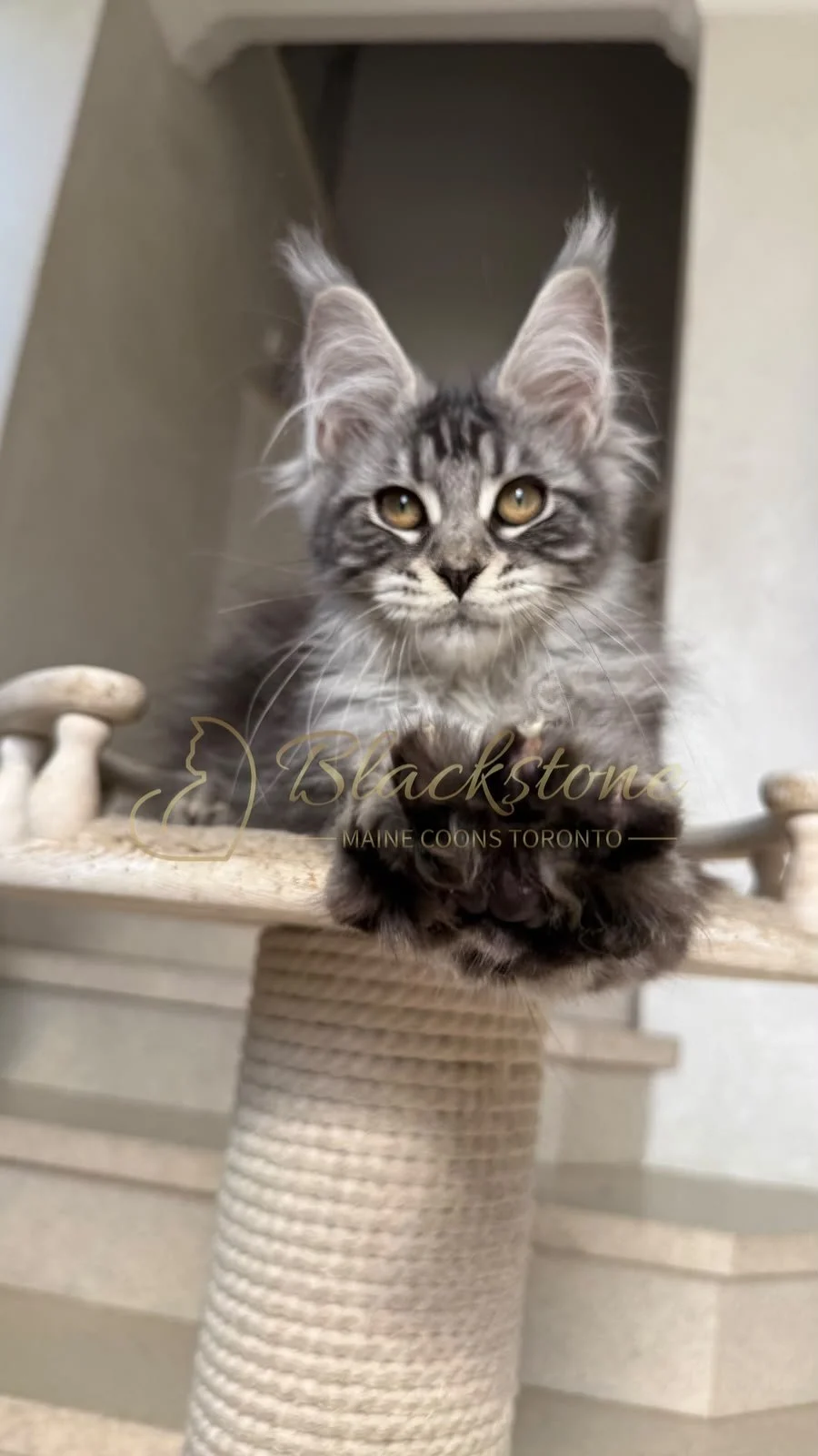 eZy Watermark_05-07-2026_05-25-13-7750PM.JPG