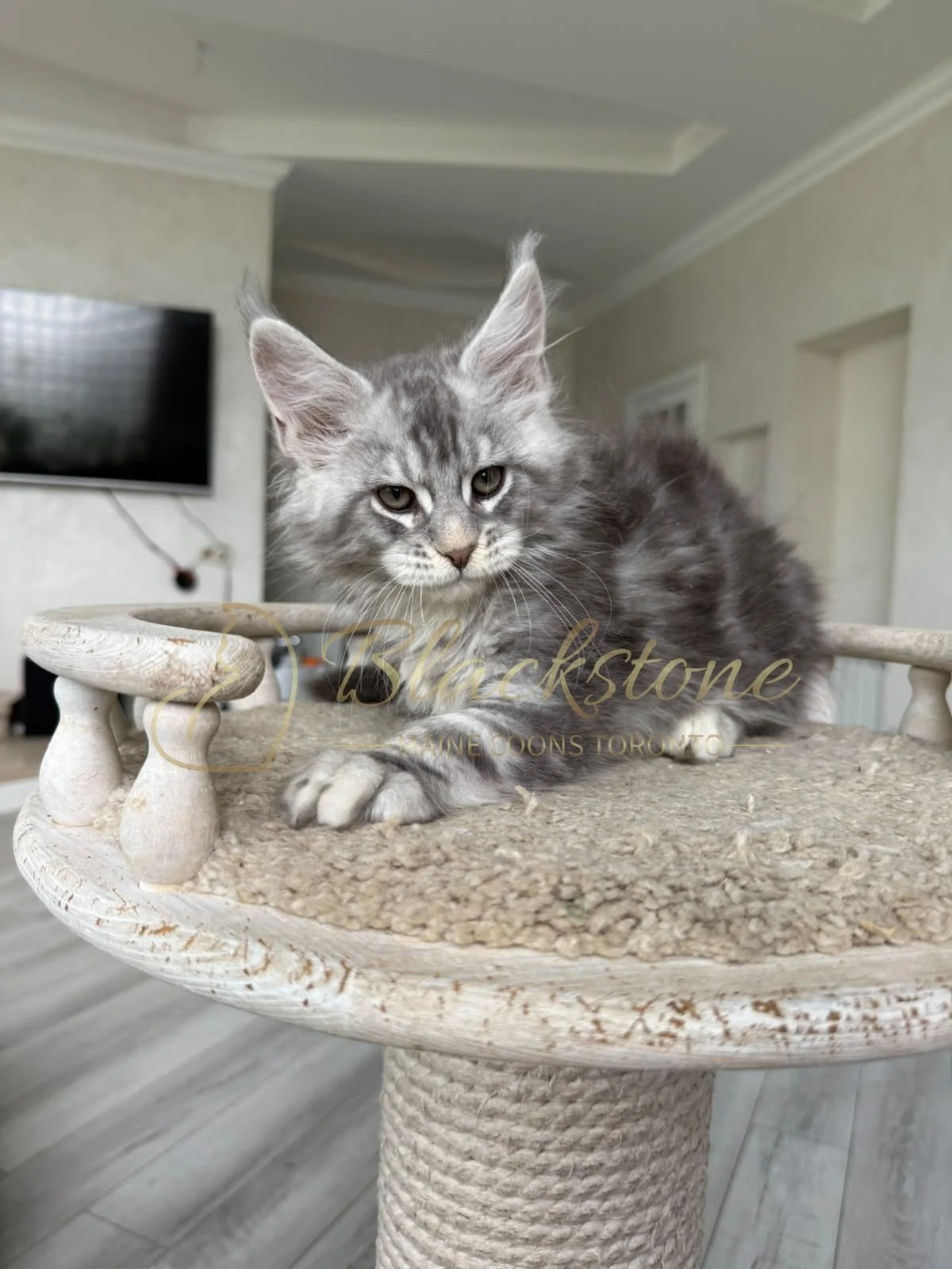 eZy Watermark_07-08-2026_11-37-51-8930AM.JPG