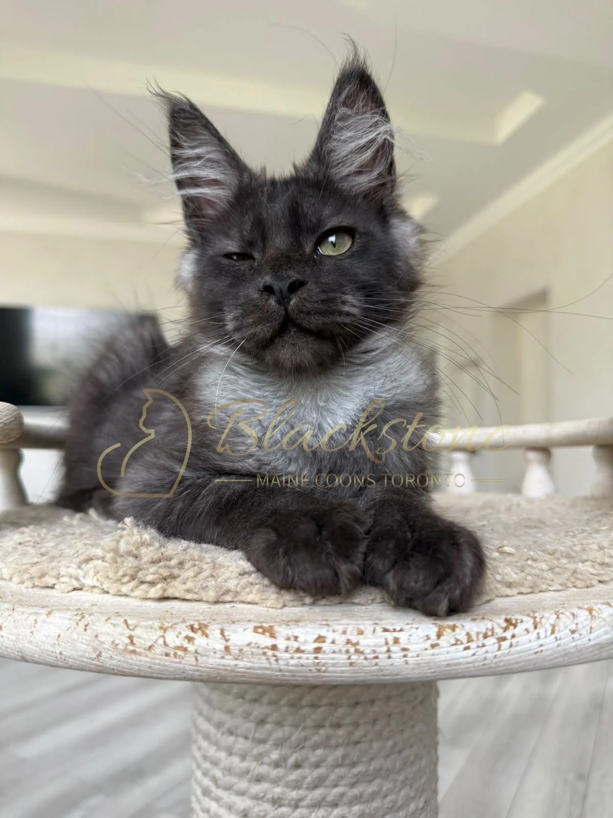 eZy Watermark_16-08-2026_09-40-04-1850PM.JPG