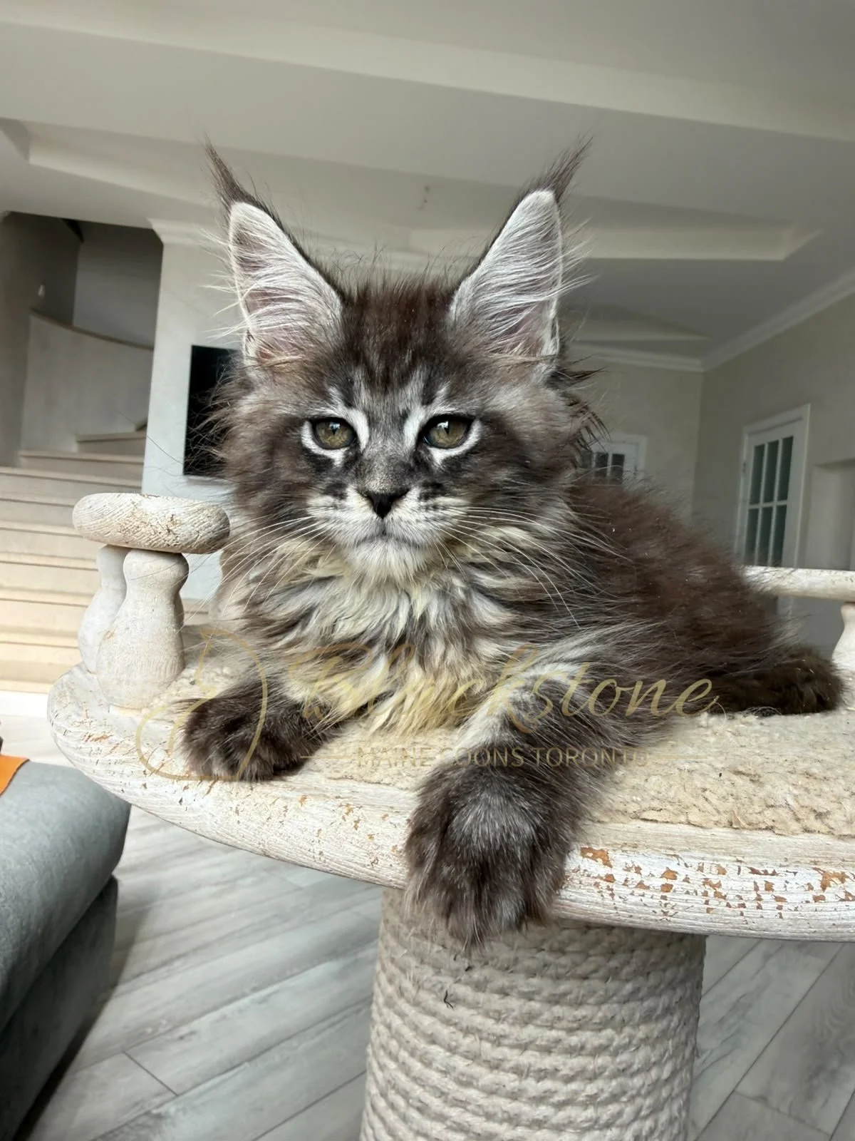 eZy Watermark_16-08-2026_09-40-12-9780PM.JPG