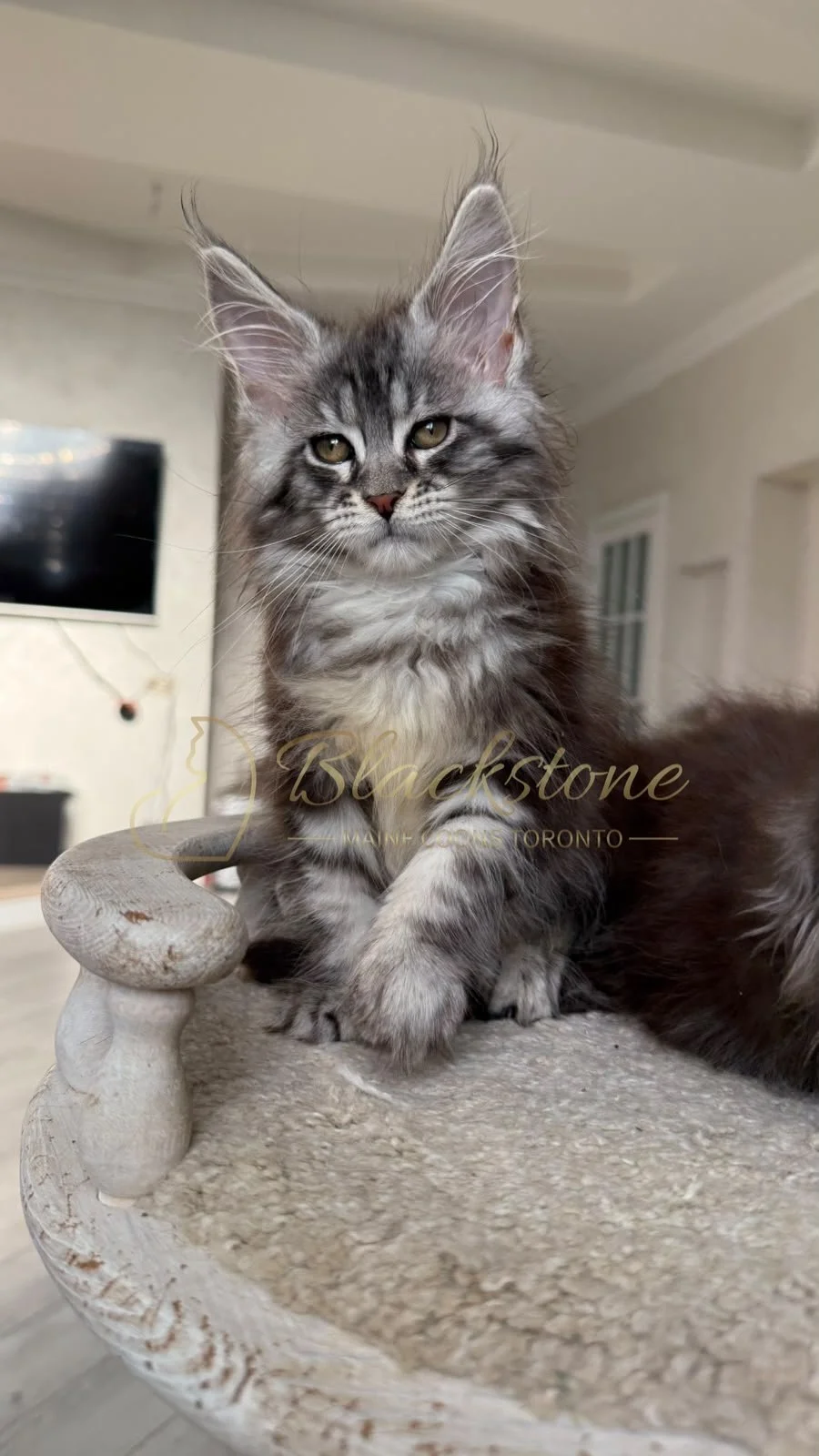 eZy Watermark_26-08-2026_08-09-42-8980PM.JPG