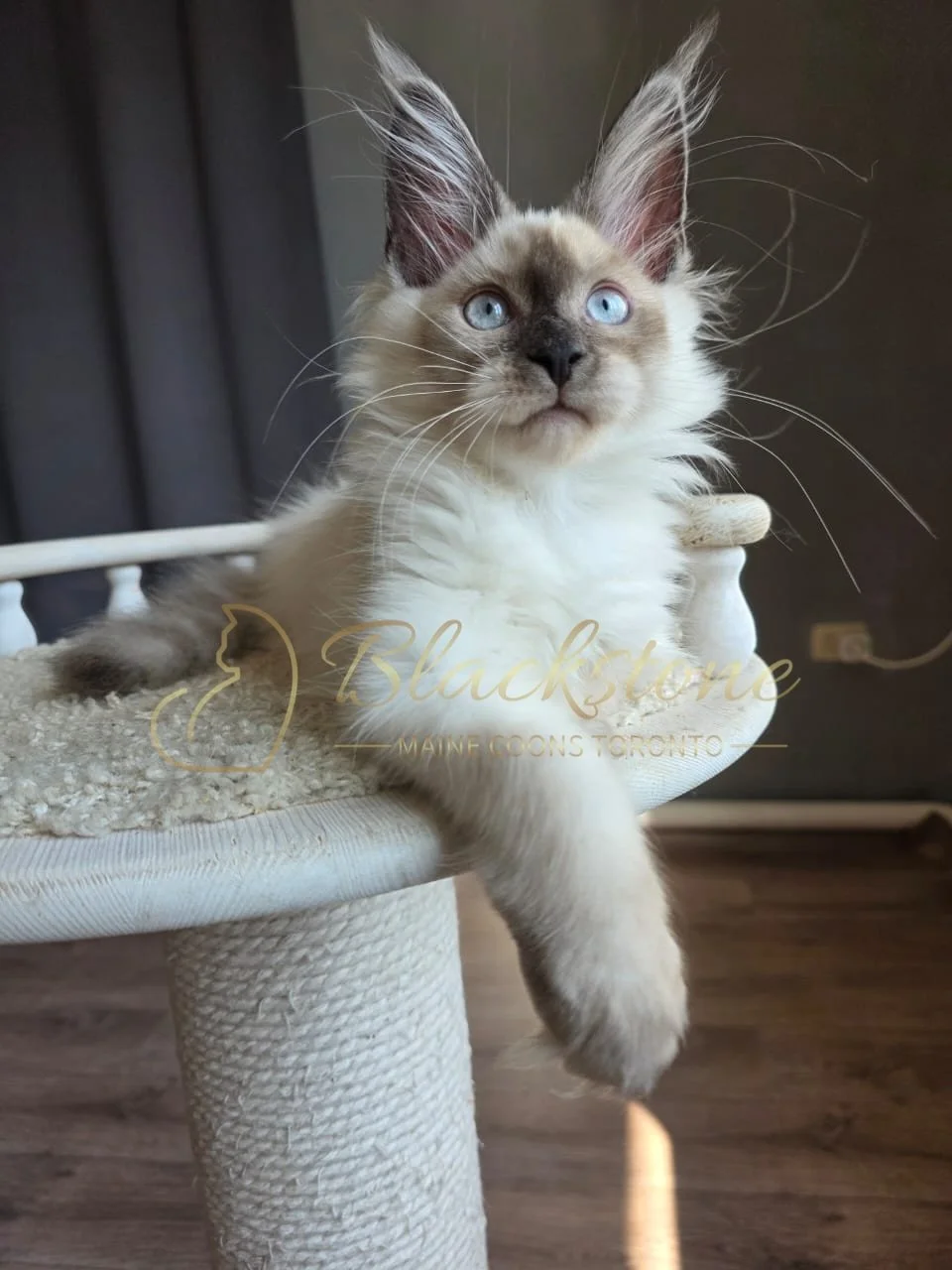 eZy Watermark_26-08-2026_08-18-58-2230PM.JPG