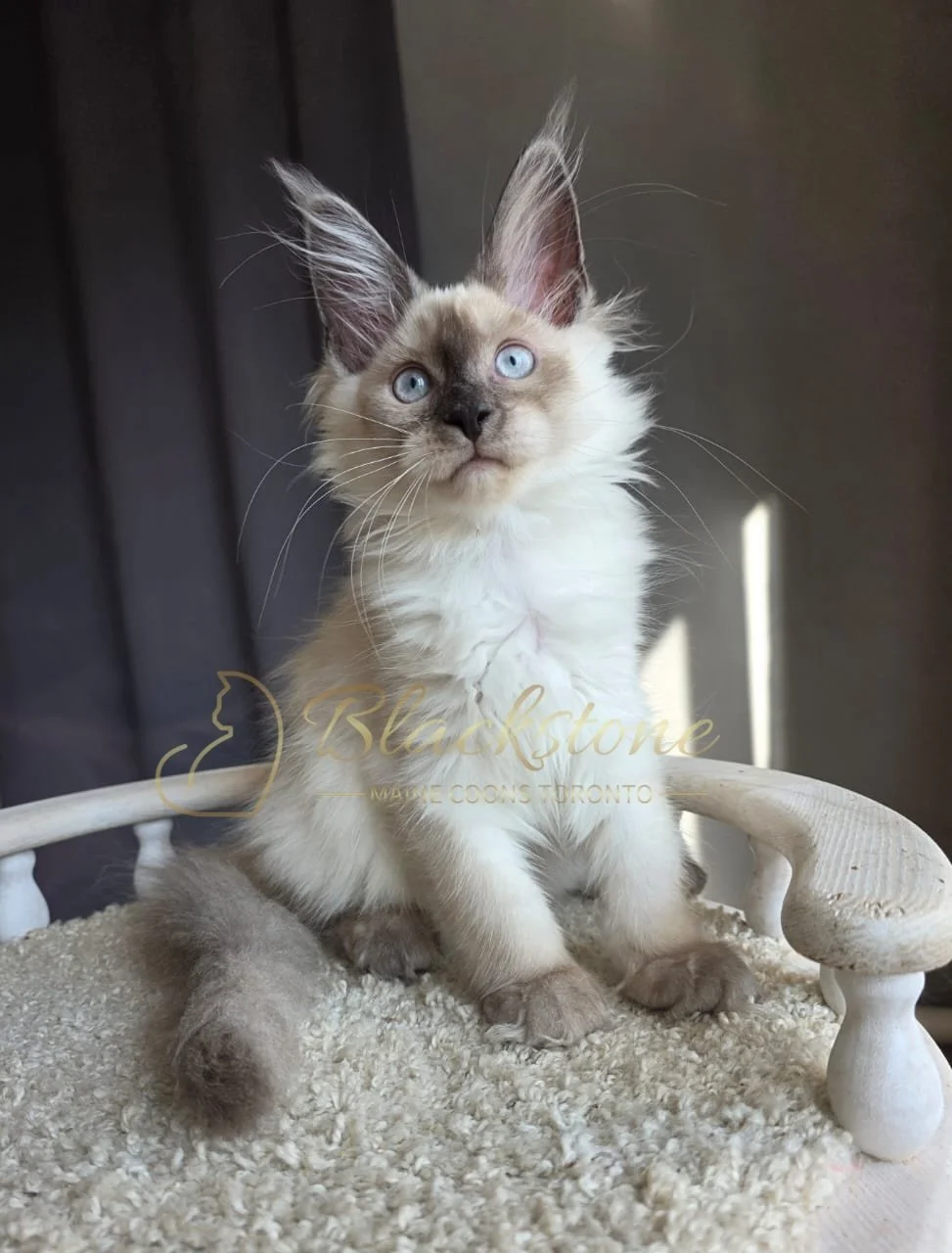 eZy Watermark_26-08-2026_08-18-58-3090PM.JPG