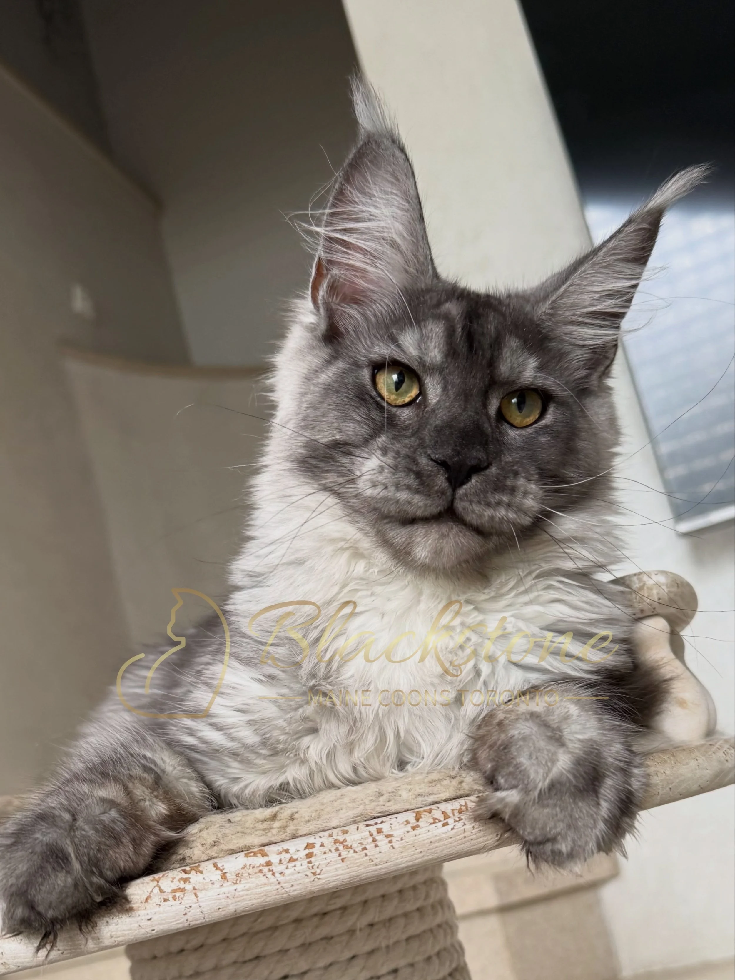 eZy Watermark_13-09-2026_01-20-56-5790PM.JPG