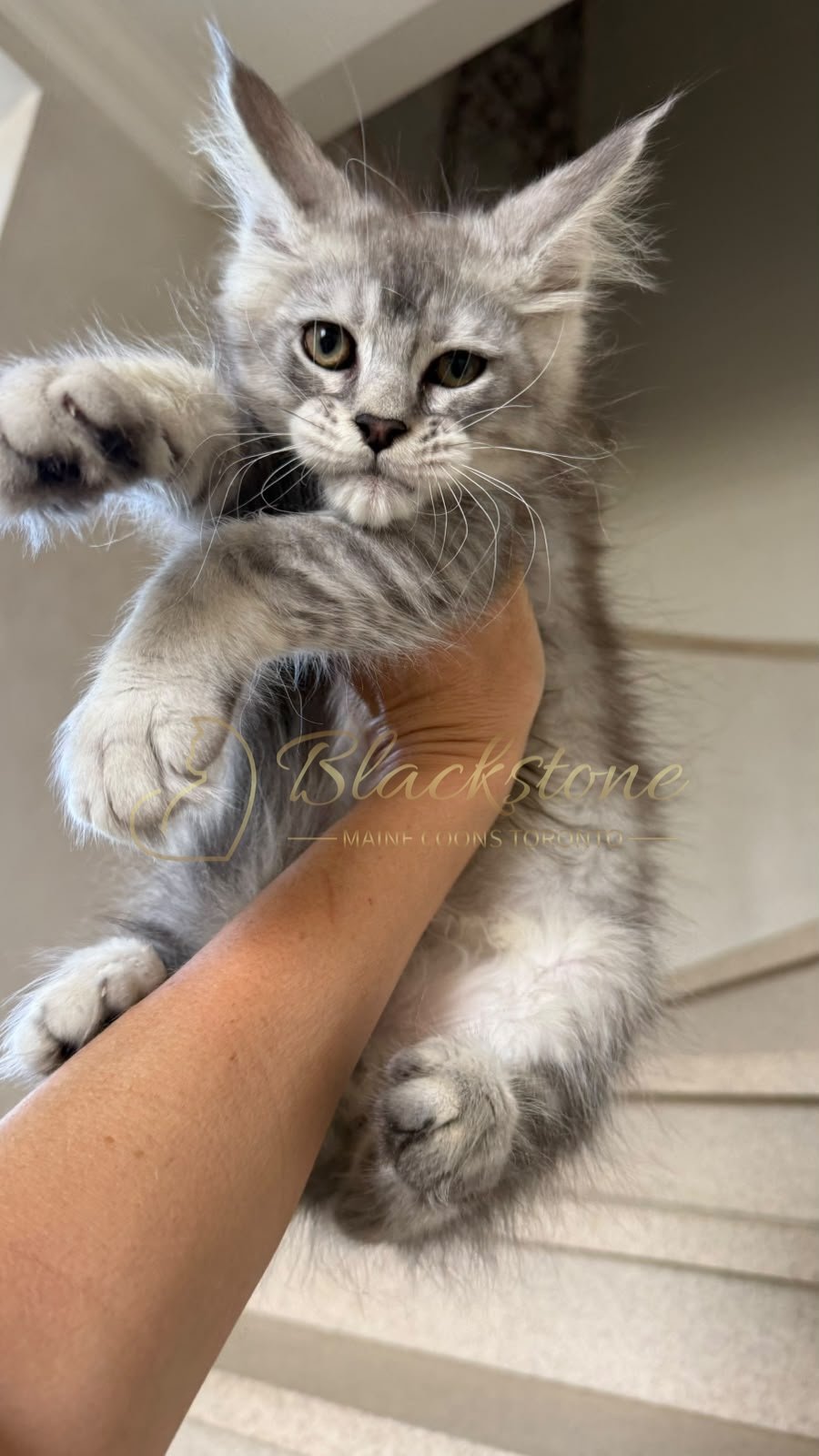 eZy Watermark_13-09-2026_01-35-25-0850PM.JPG
