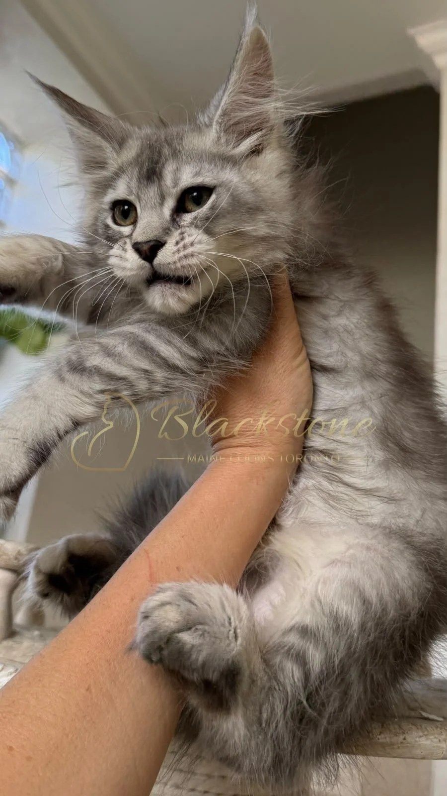 eZy Watermark_13-09-2026_01-35-25-0040PM.JPG