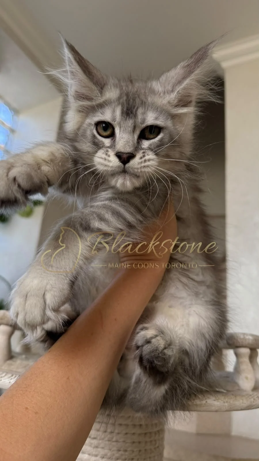 eZy Watermark_13-09-2026_01-35-25-1740PM.JPG