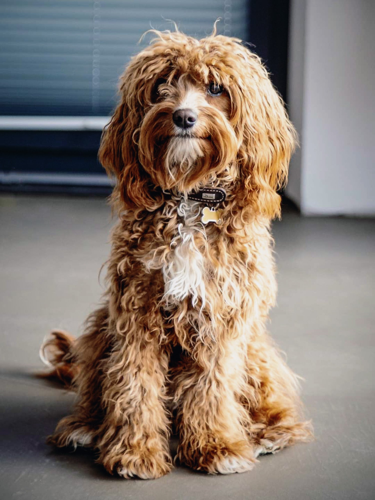 Portrait Winnie Sklar-Pfalzer