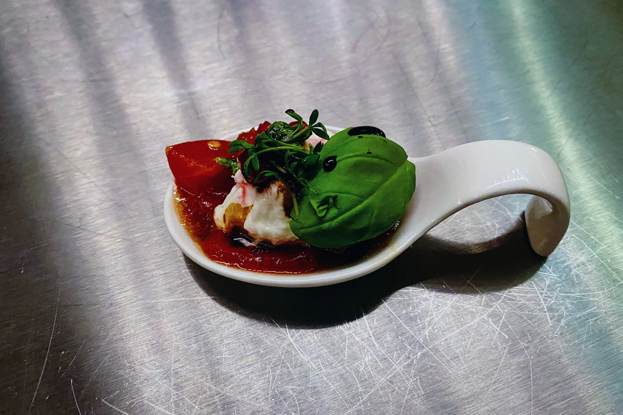 Tomaten Basilikum Mozzarella Kräuter Häppchen